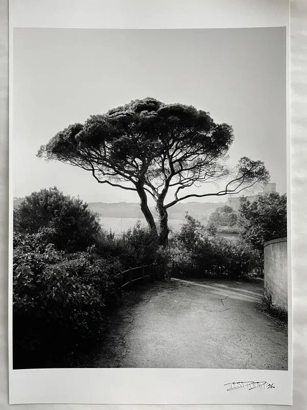 Bay of Poets - Black and White Analogue Photogrpahy of Italian Coast, 40x32cm 2023