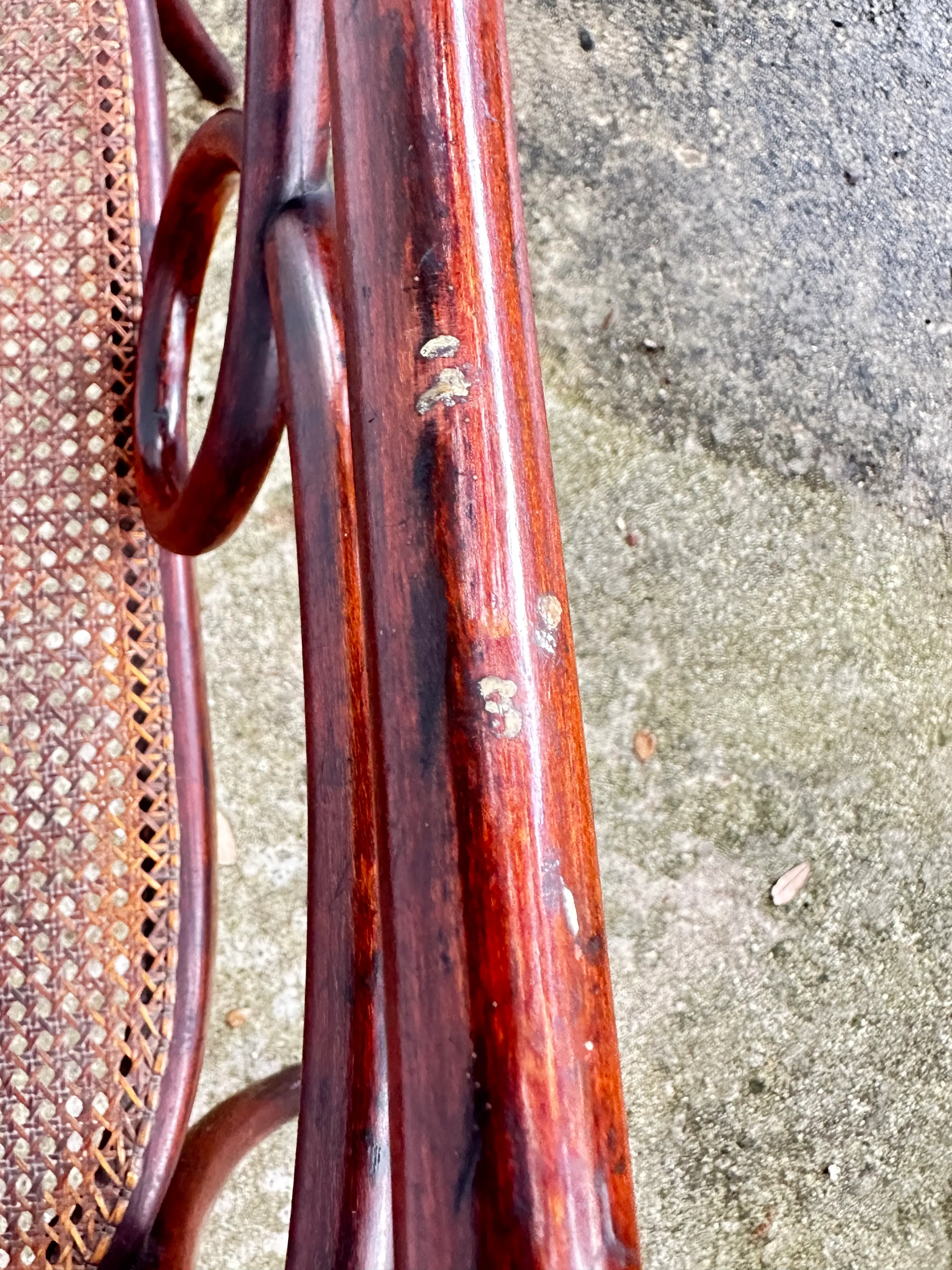 Antique Child’s Bentwood and Cane Bench