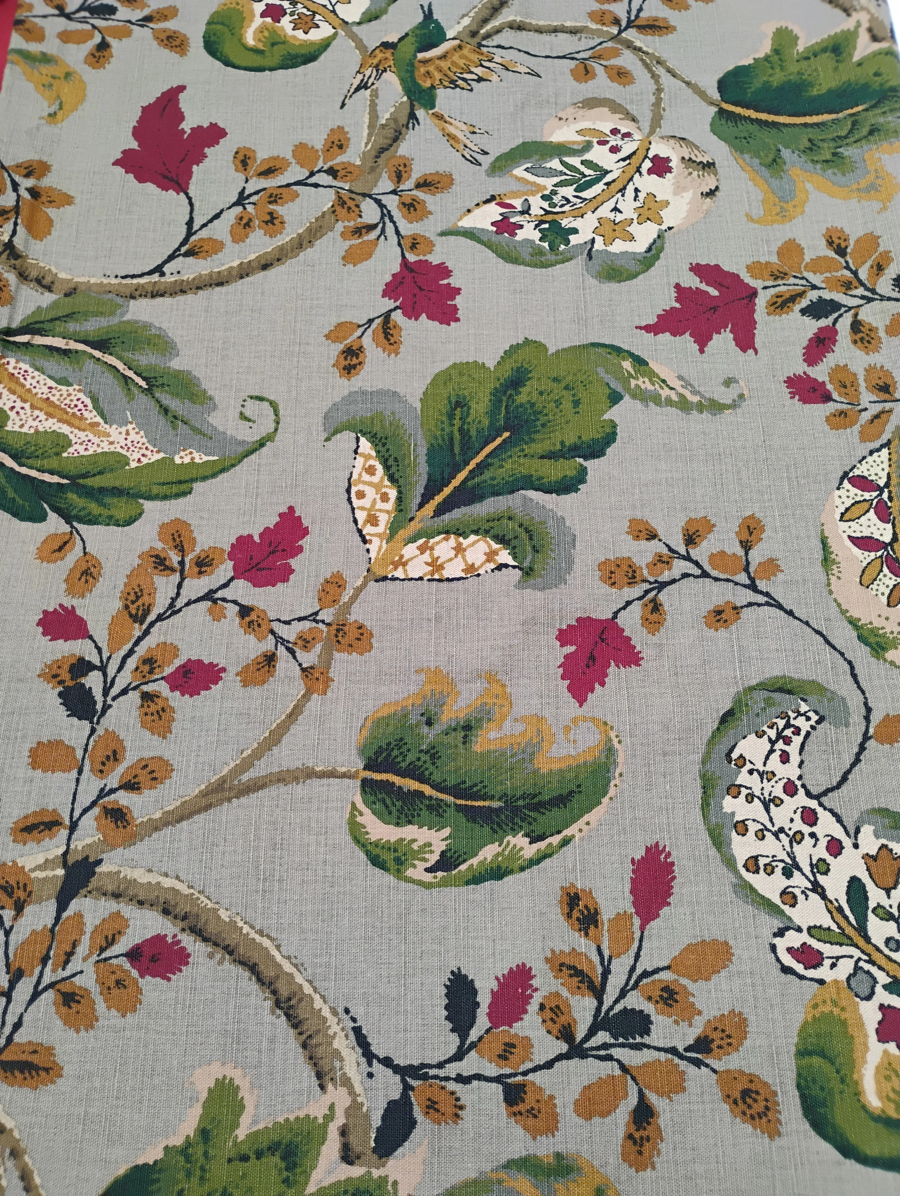 Schumacher / Jh. Thorp 