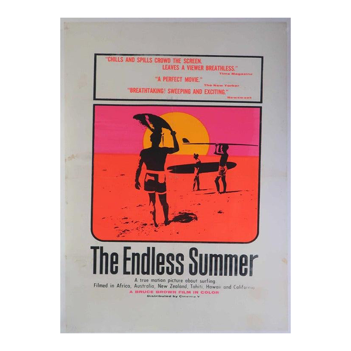 1966 The Endless Summer Poster Chairish