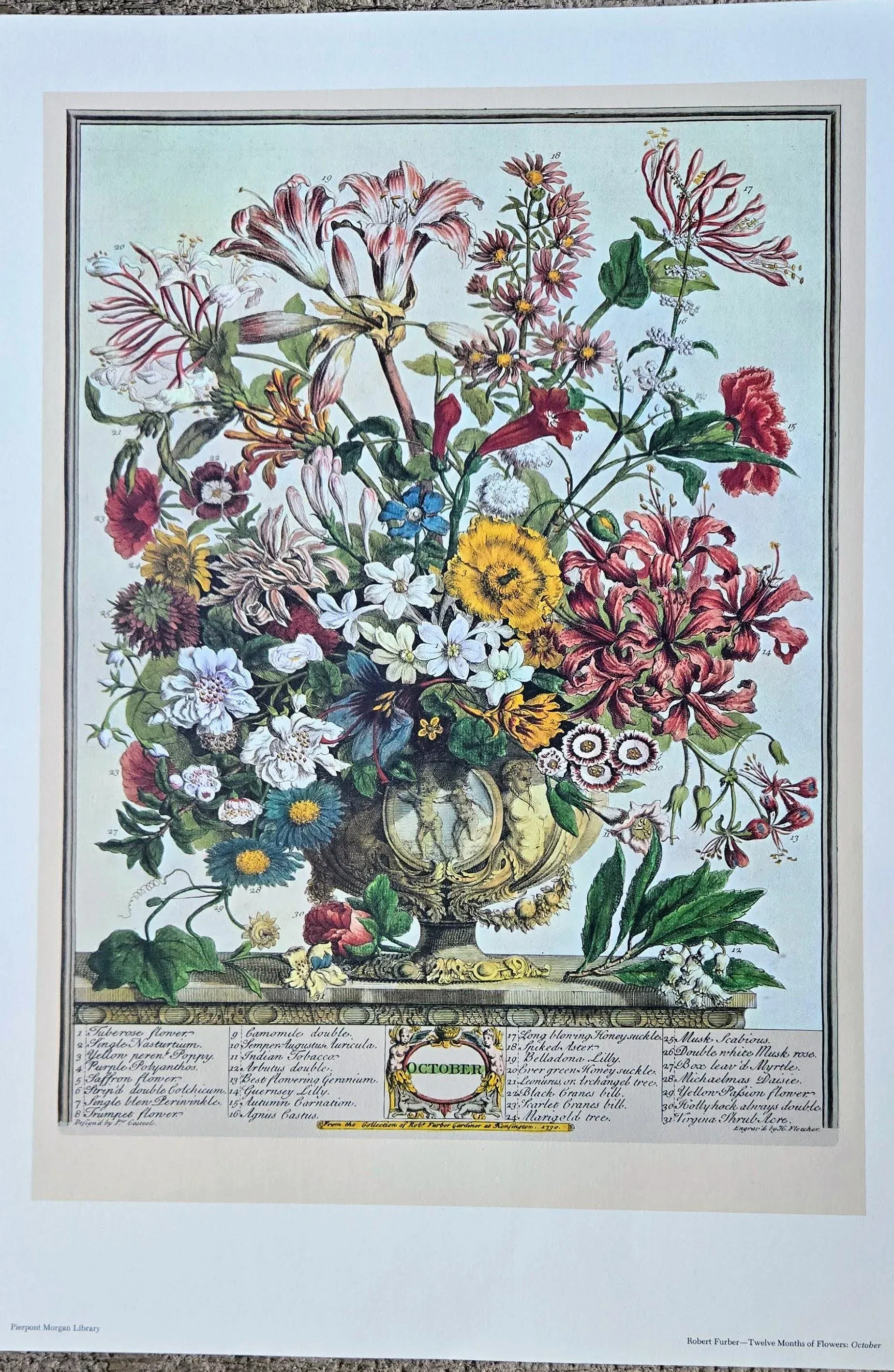 F10♡フラワー♡ブーゲンビリア♡インテリア♡絵♡絵画♡roxy 1970s Vintage Robert Furber October Botanical From 