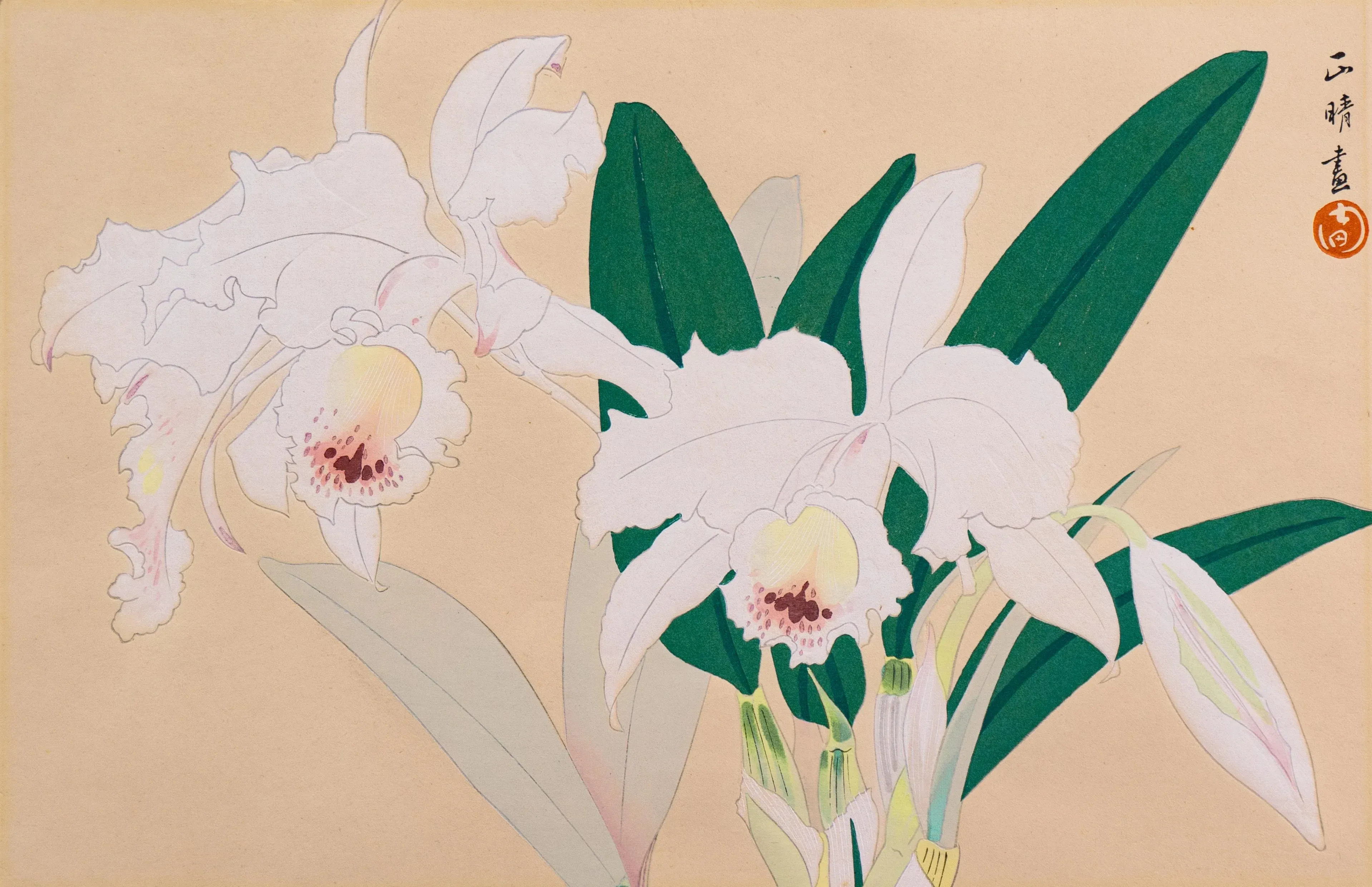 Still Life of Orchids' by Ikeda Zuigetsu, 1946, Japanese