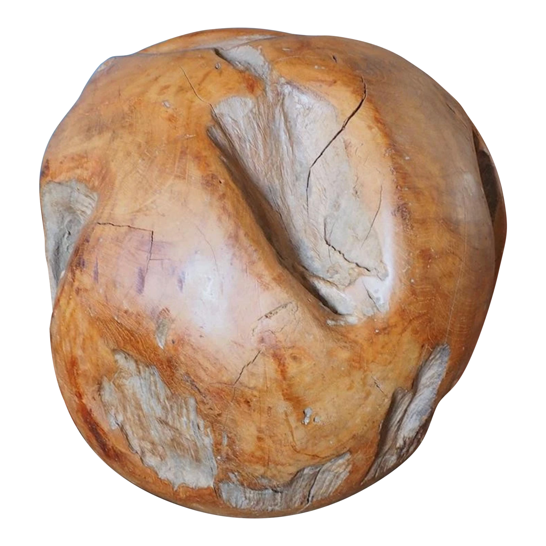 1960s Large Hand Carved Wood Burl Sculpture 17\