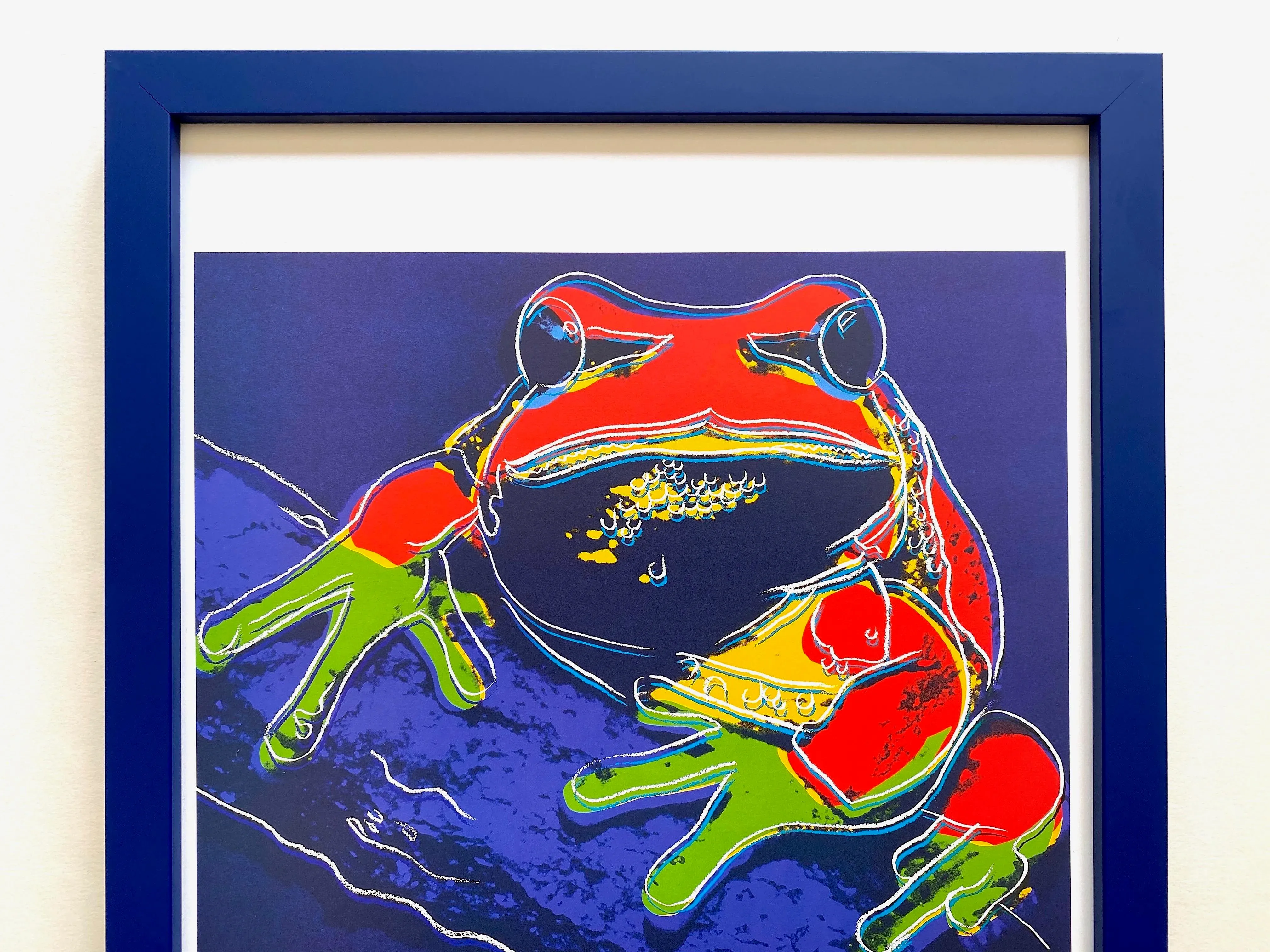 Andy Warhol Estate Vintage 1989 Endangered Species Framed