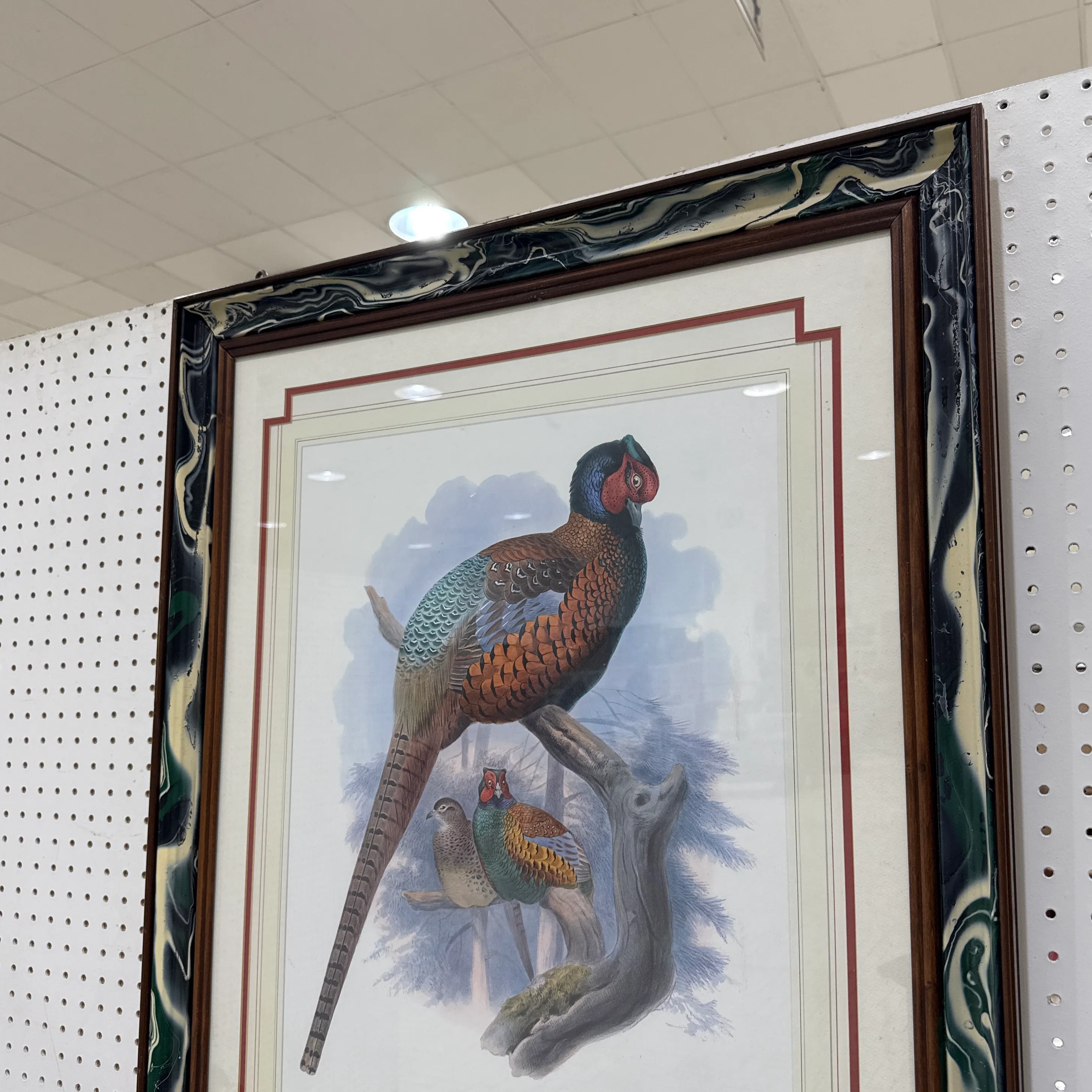 Vintage Pheasant Prints in Custom Lacquered Frames ~ a Pair