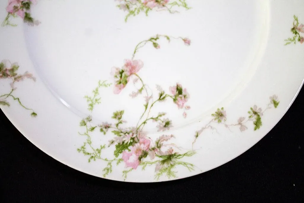 CH.FIELD HAVILAND 3点SET CH Field Set Of 3 Haviland Limoges GDA France Antique 1900's