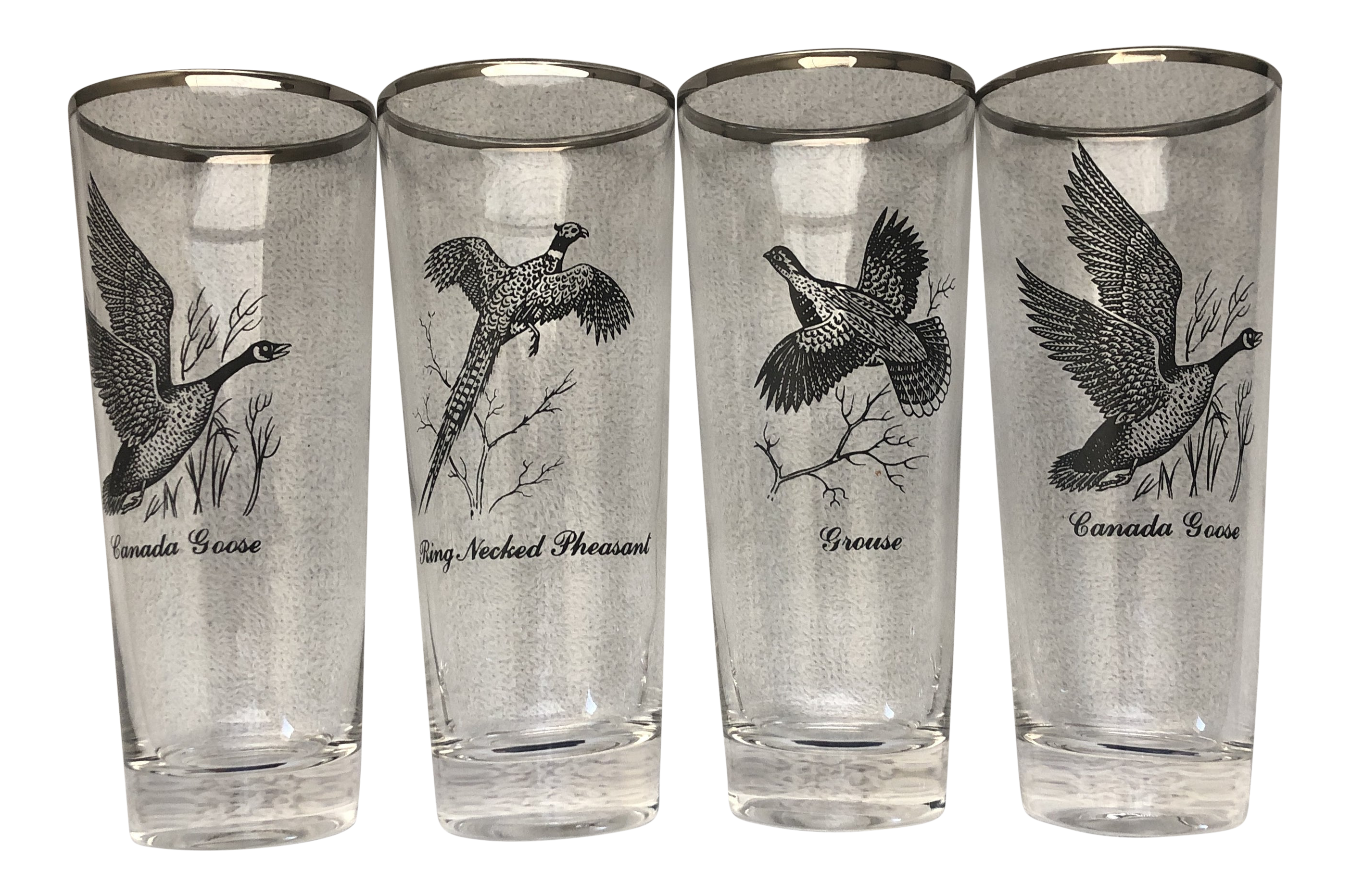 Vintage Mid-Century Silver Rimmed Drinking Glass Tumblers Canada Goose,  Ring Necked Pheasant, and Grouse - Set of 4 | Chairish