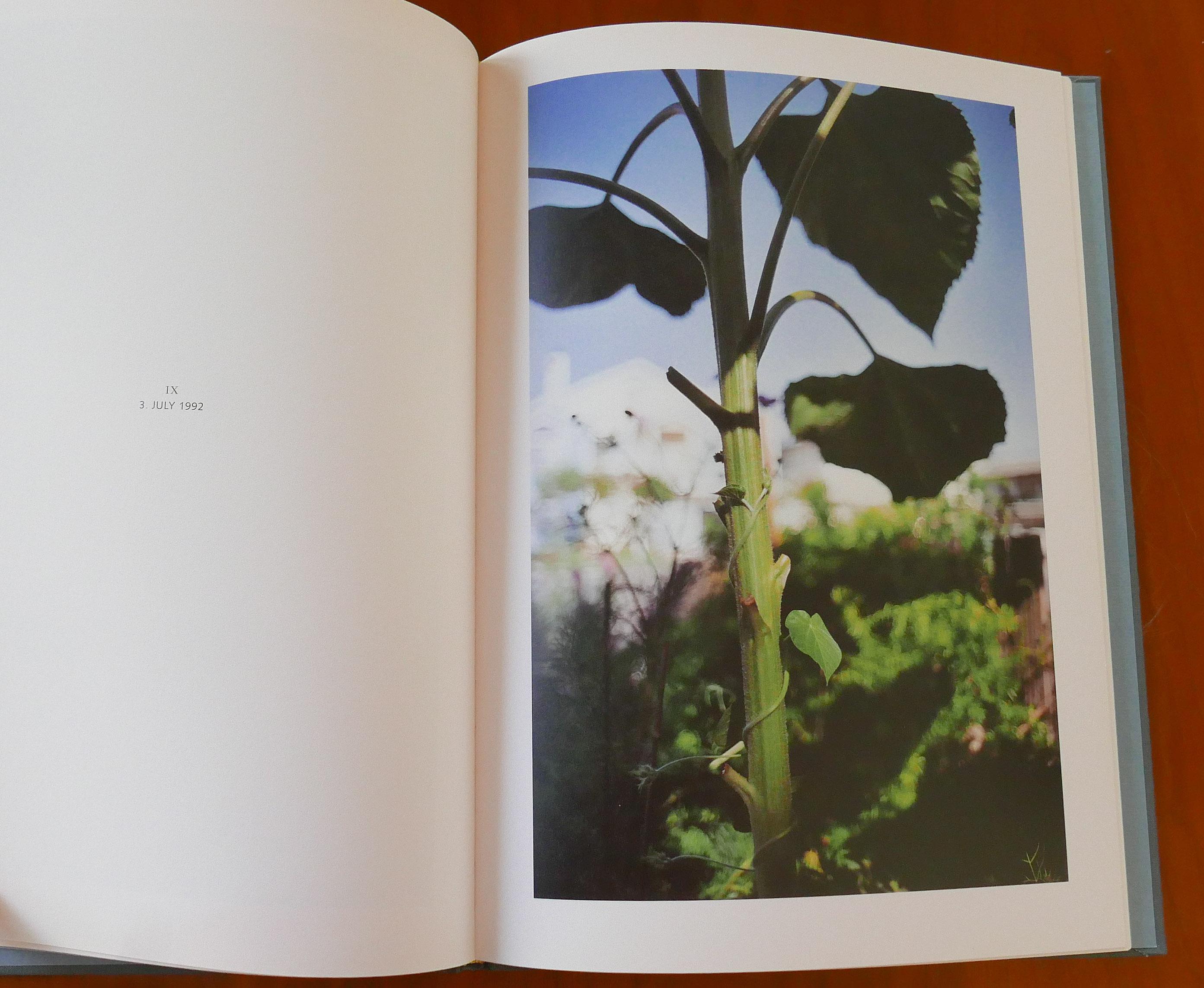 Terri Weifenbach In Your Dreams 1st Edition Photo Book Terri Weifenbach In Your Dreams 1st Edition Photo Book