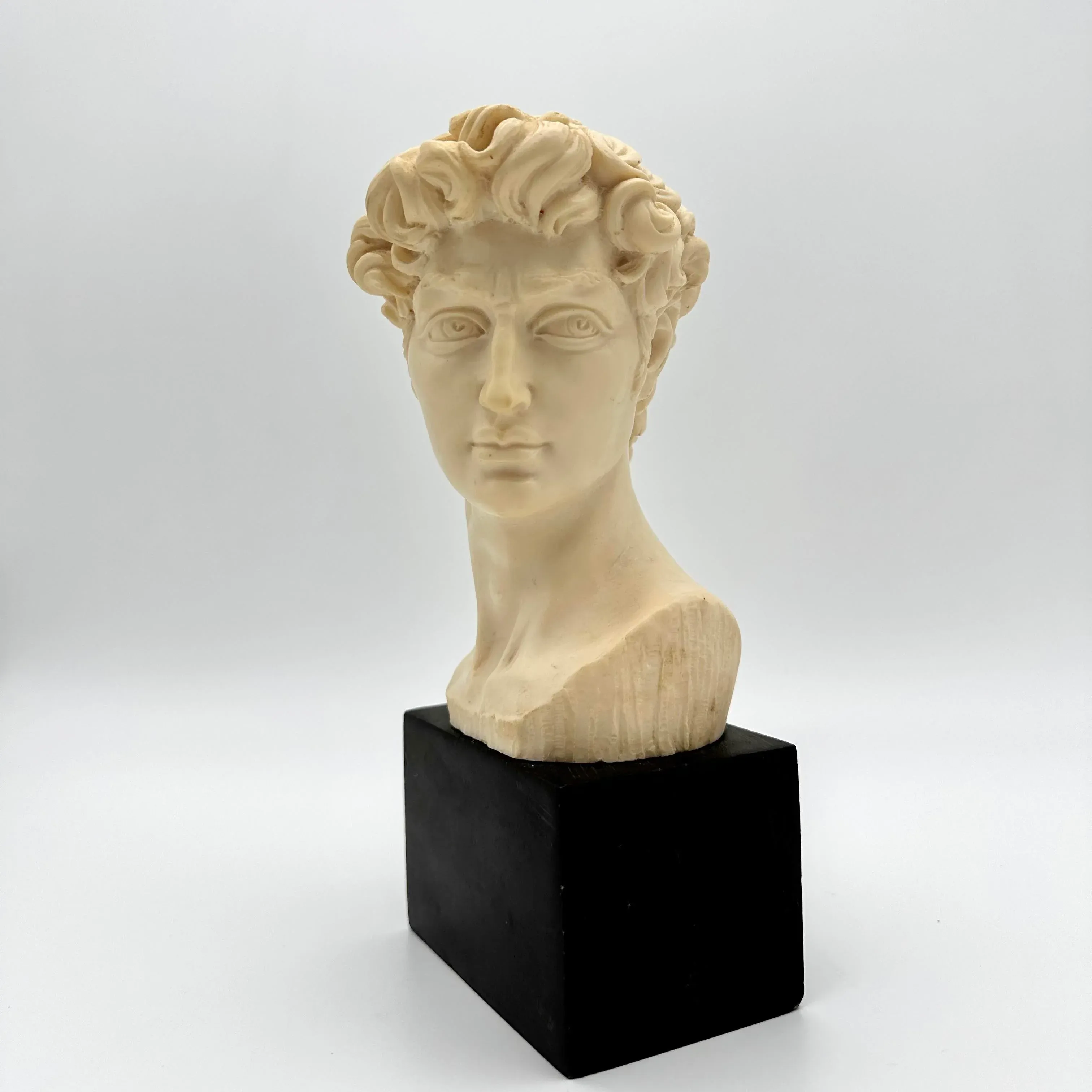 Mid-20th Century Italian A. Santini Signed David Bust
