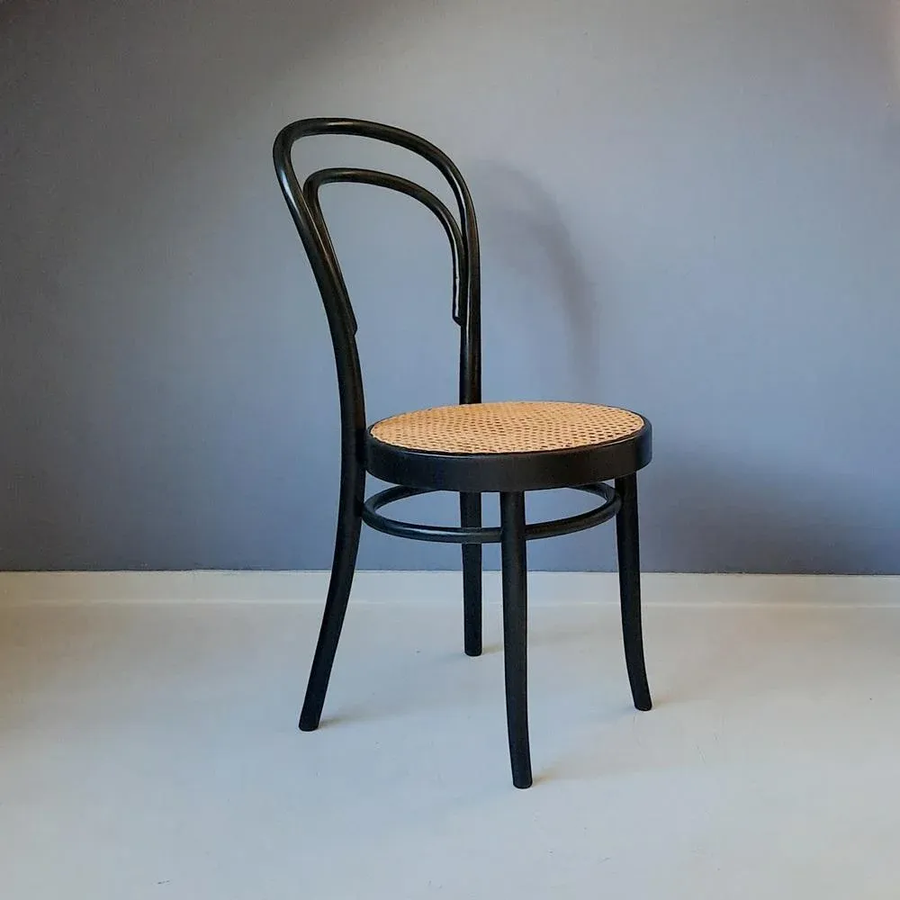 Bentwood No. 14 Chair from ZMG Radomsko, 1970s | Chairish