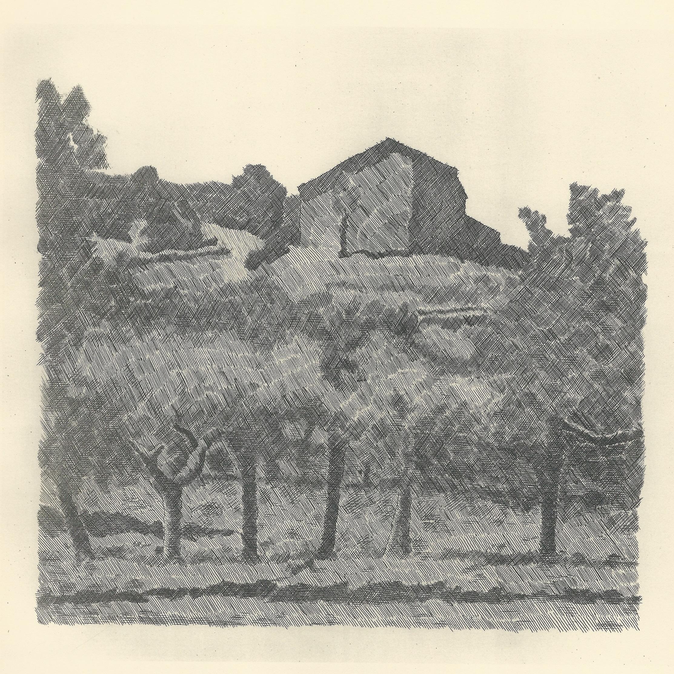 giorgio-morandi-landscape-in-