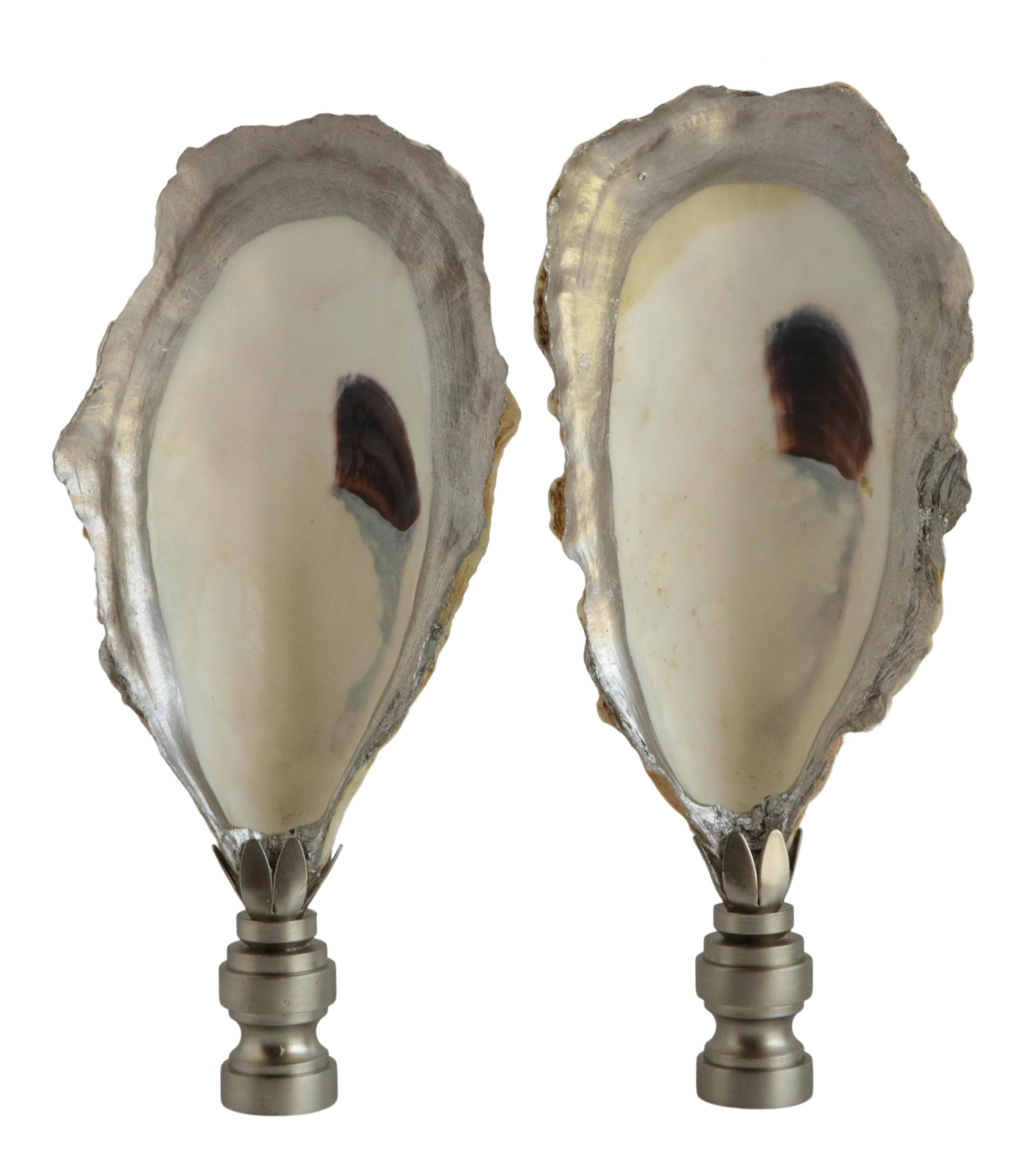 oyster shell table lamp