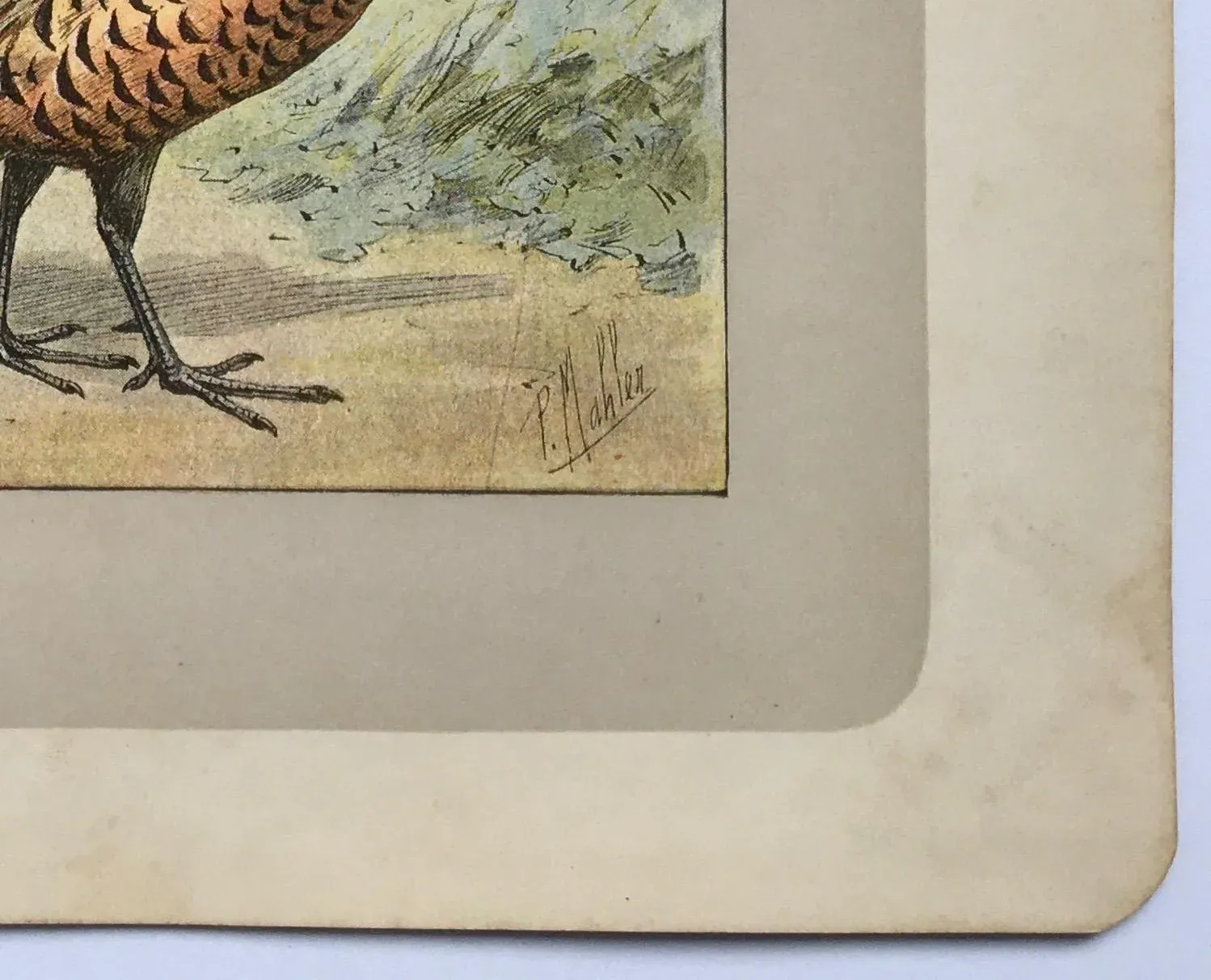 Early Color Photographyパンテオン 写真 フランス アート Early Color Photographyパンテオン 写真 フランス アート Early