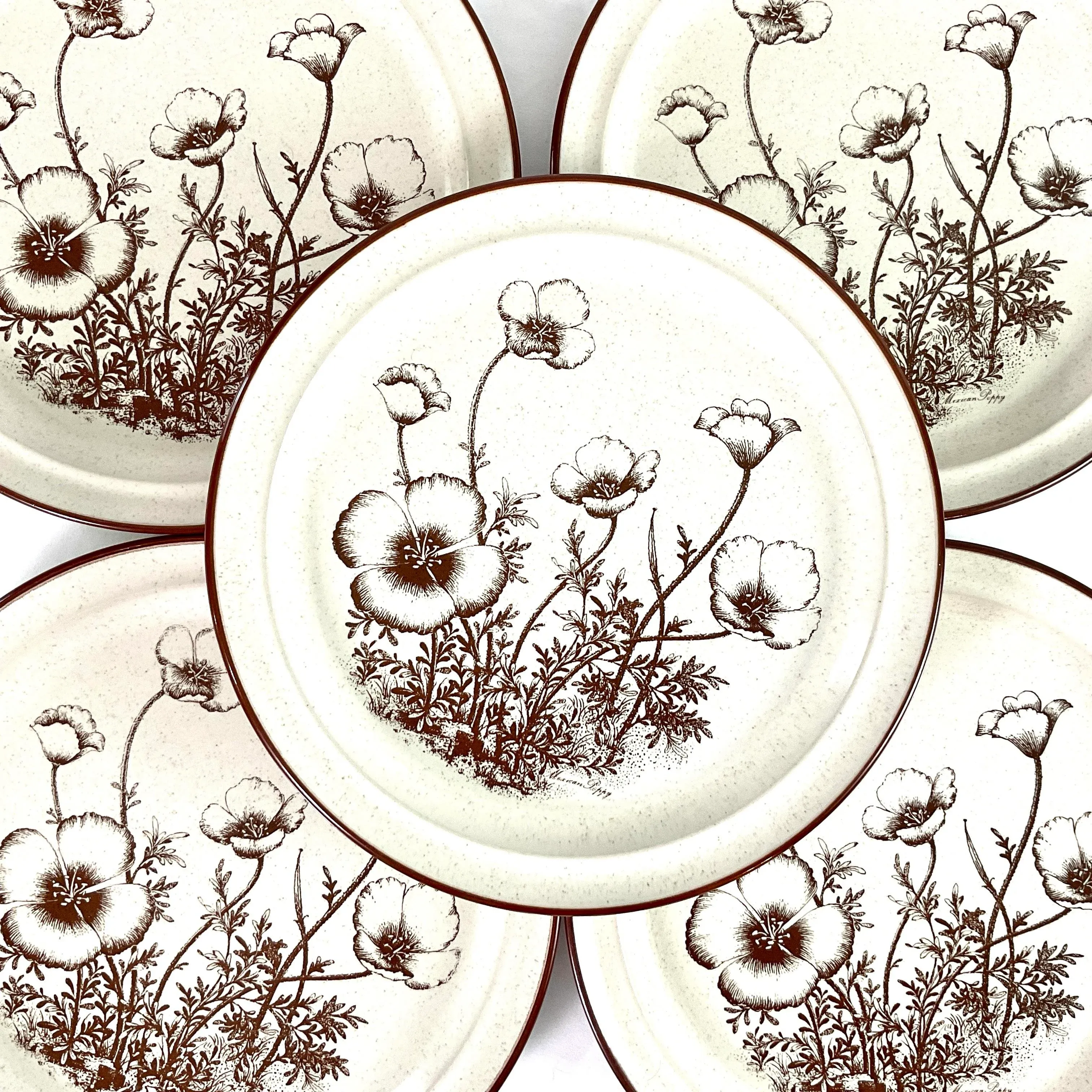 1970s Noritake “Desert Flowers” Stoneware Dinner Plates – Set of 7