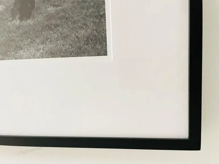 Limited Edition Print \