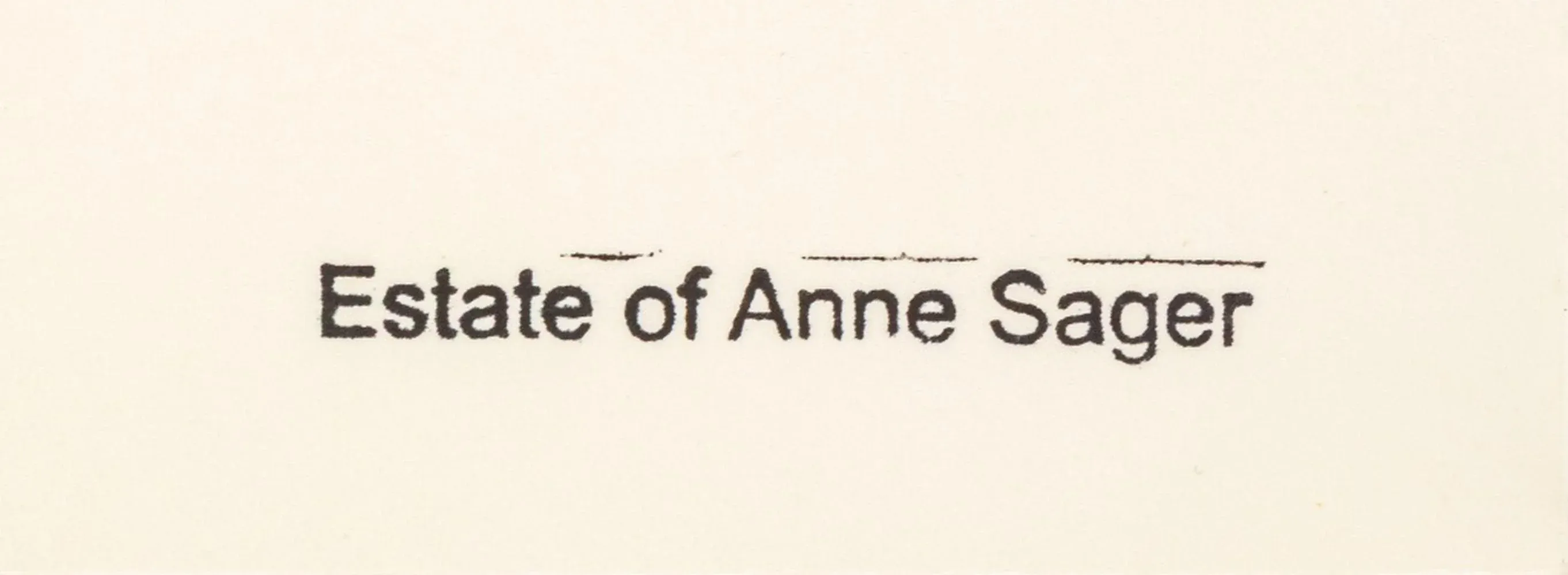 Anne Sager Digital Photography Collage C-Print