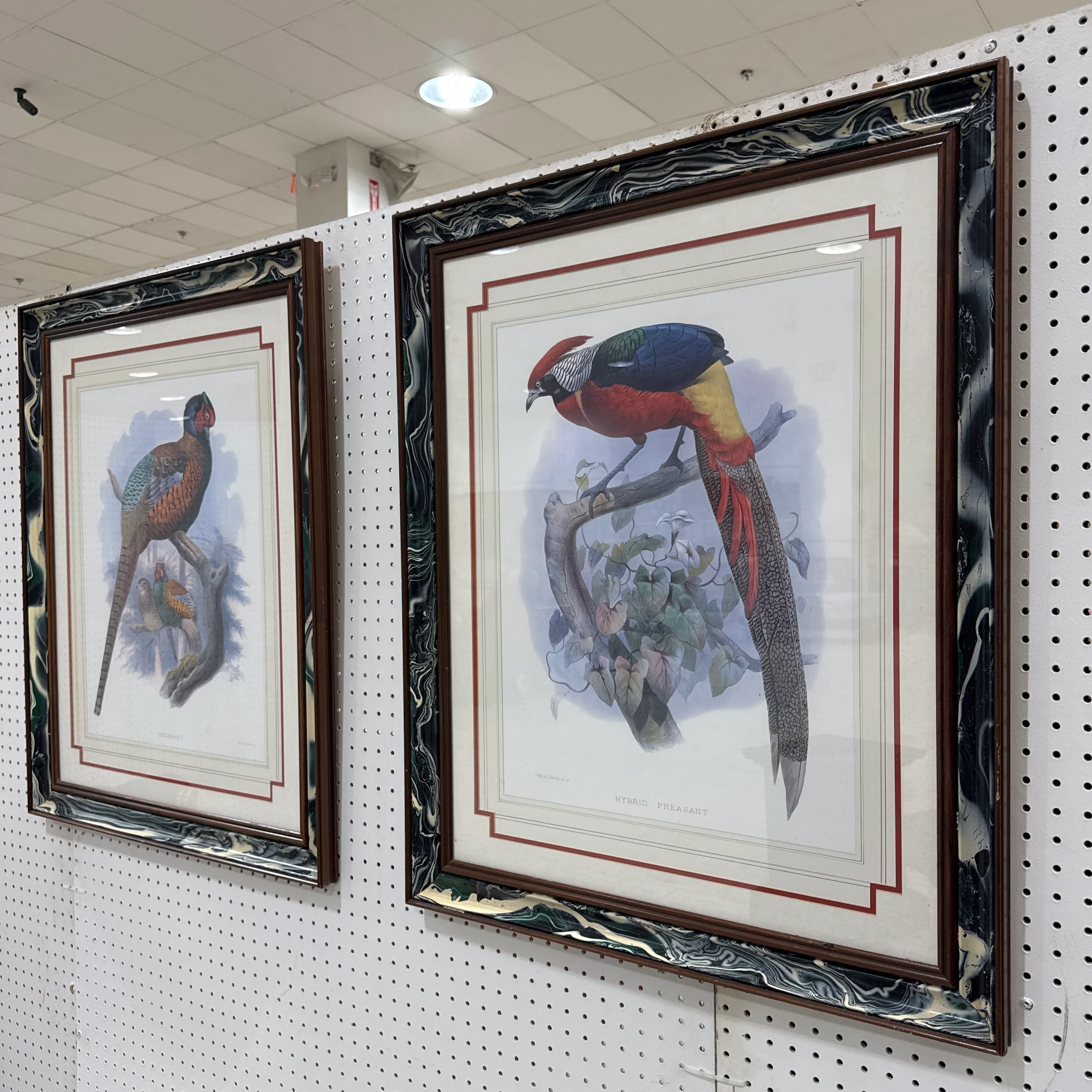 Vintage Pheasant Prints in Custom Lacquered Frames ~ a Pair