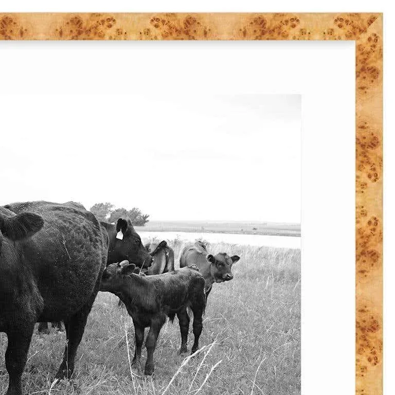 21st Century Nowata Oklahoma Cattle Ranch Print in Black and White