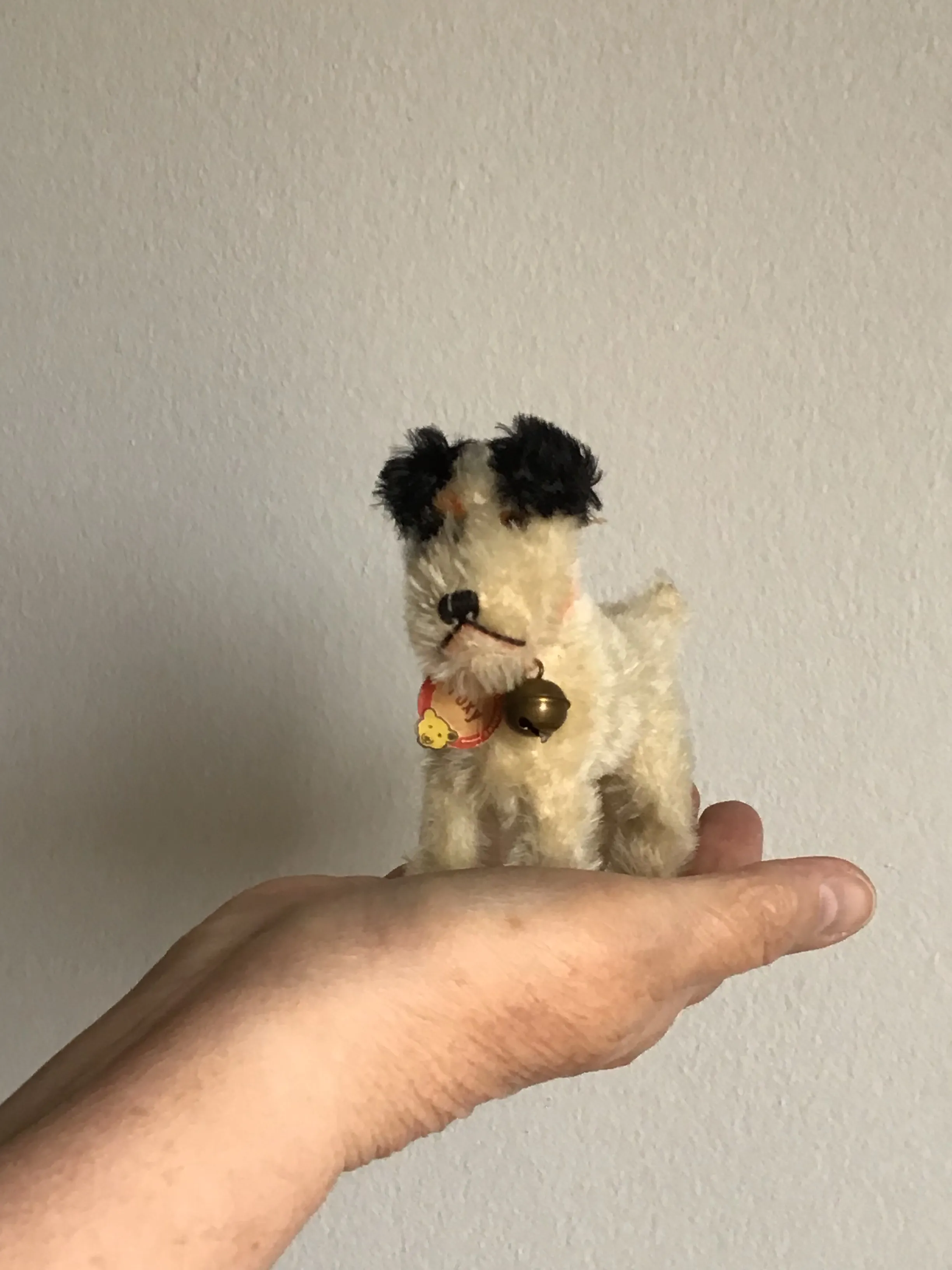 1920s Steiff Fox Foxy Terrier Mohair Puppy Toy Chairish