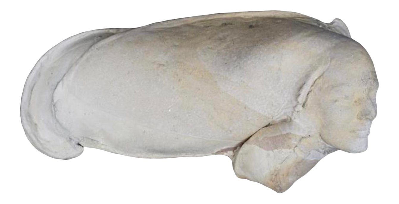 Vintage Head Sculpture Huge Female Abstract Wall Art Chairish