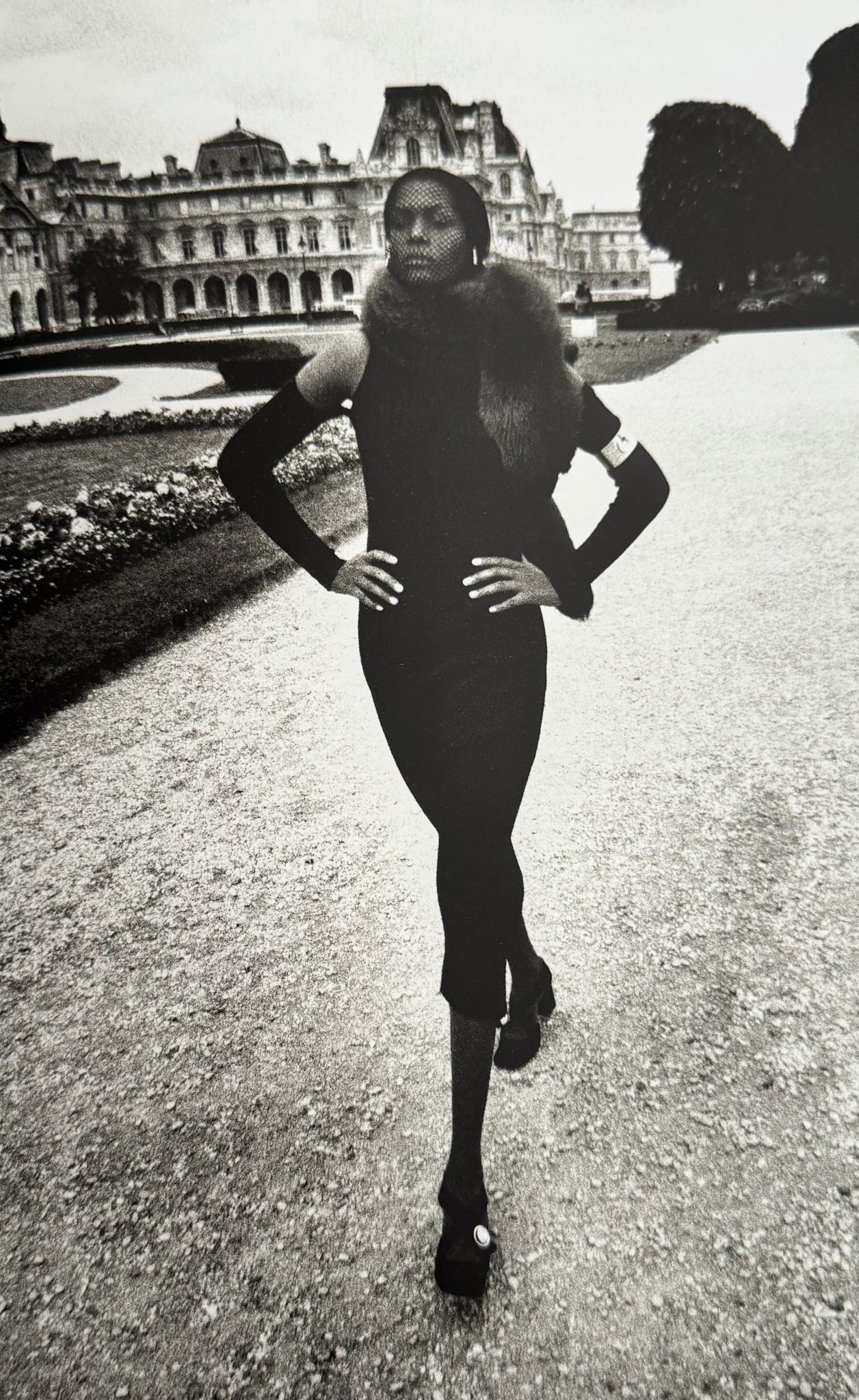 The Best of HELMUT NEWTON 洋書 The Best of Helmut Newton by Zdenek Felix | Chairish