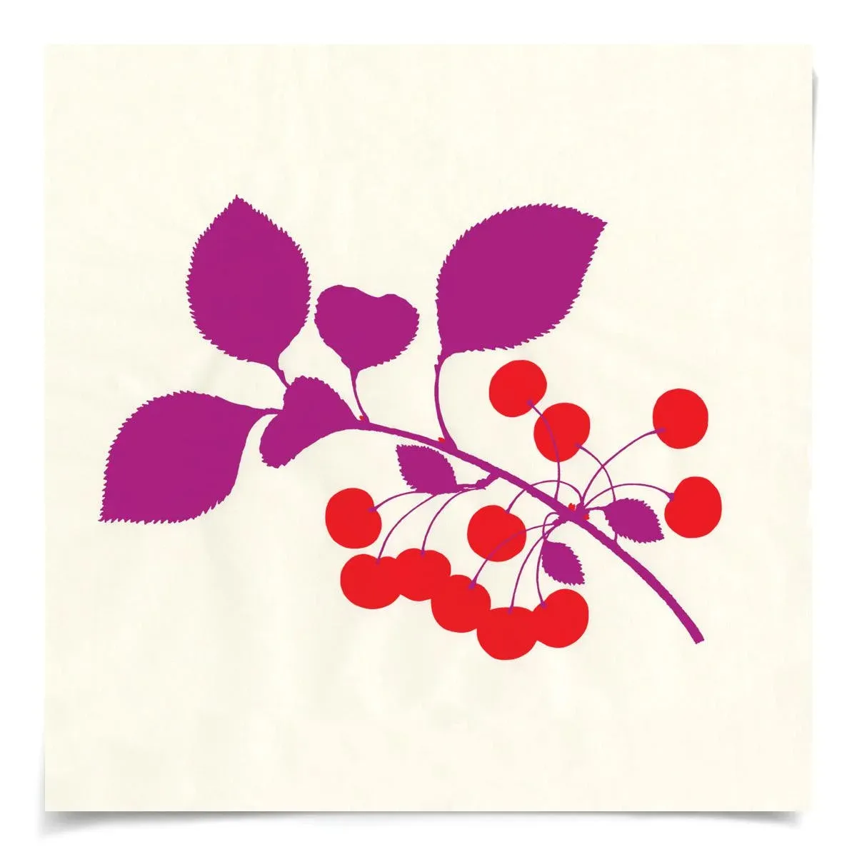 Bright Pomona Fruit, Unframed Artwork - Set Of 5
