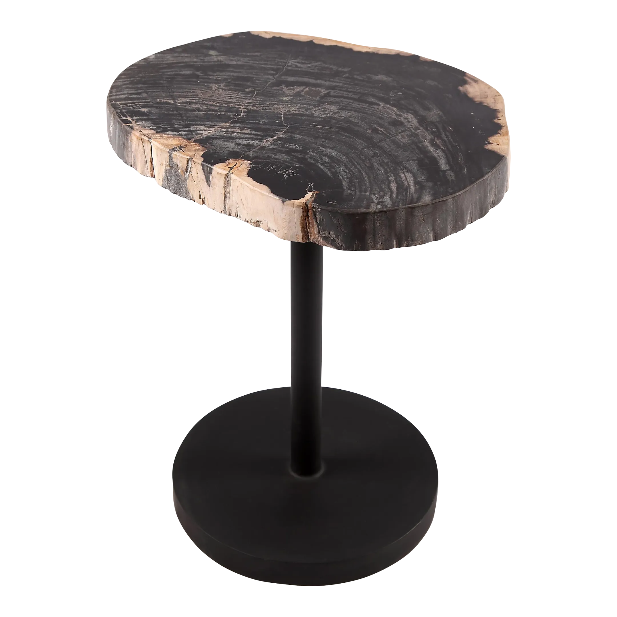 Living Edge Petrified Wood Top W Black Metal Stand Accent Table or Side
