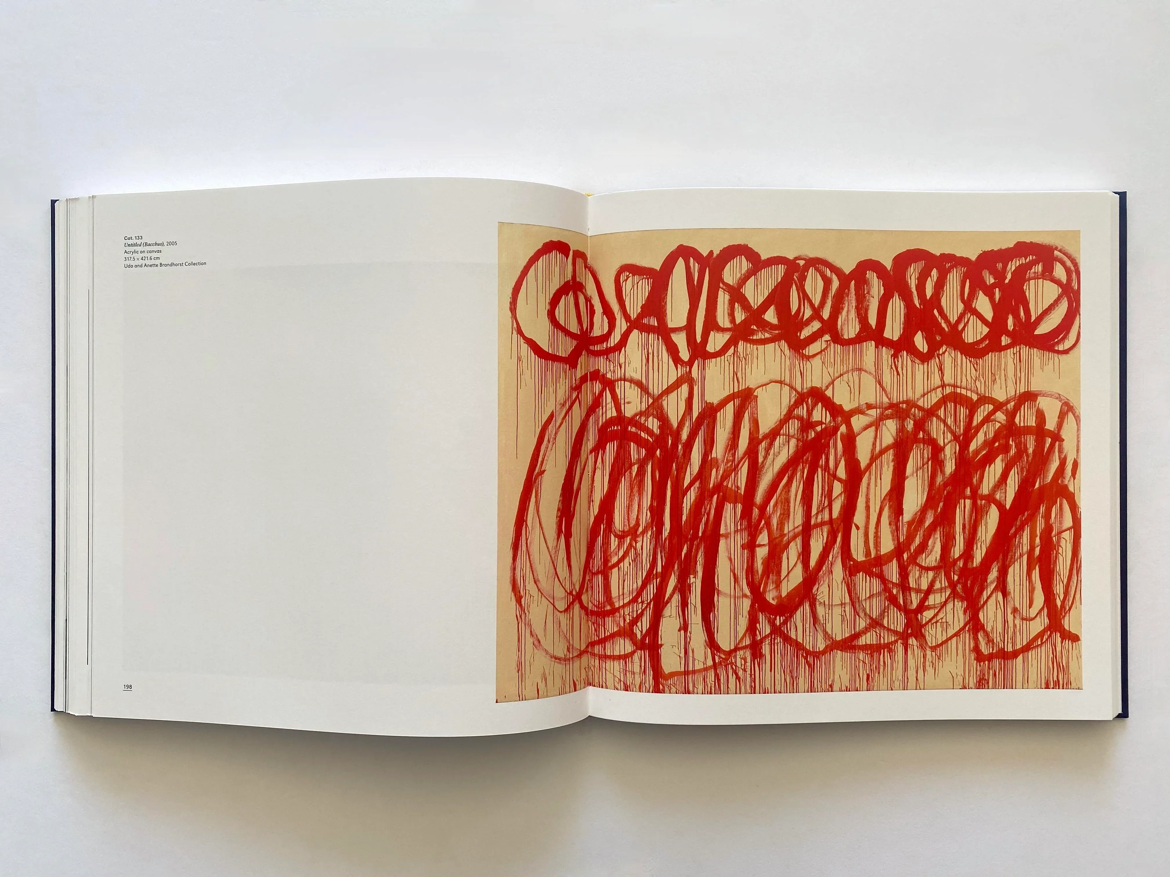 Cy Twombly Abstract Expressionist Lithograph Print Paris