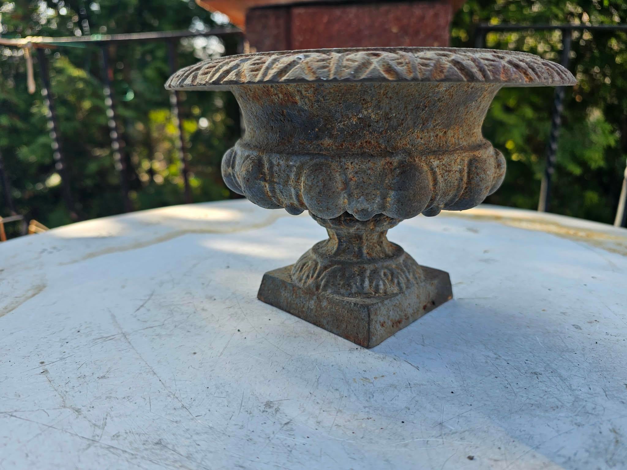 Cast Iron Flower Pot, 1890s