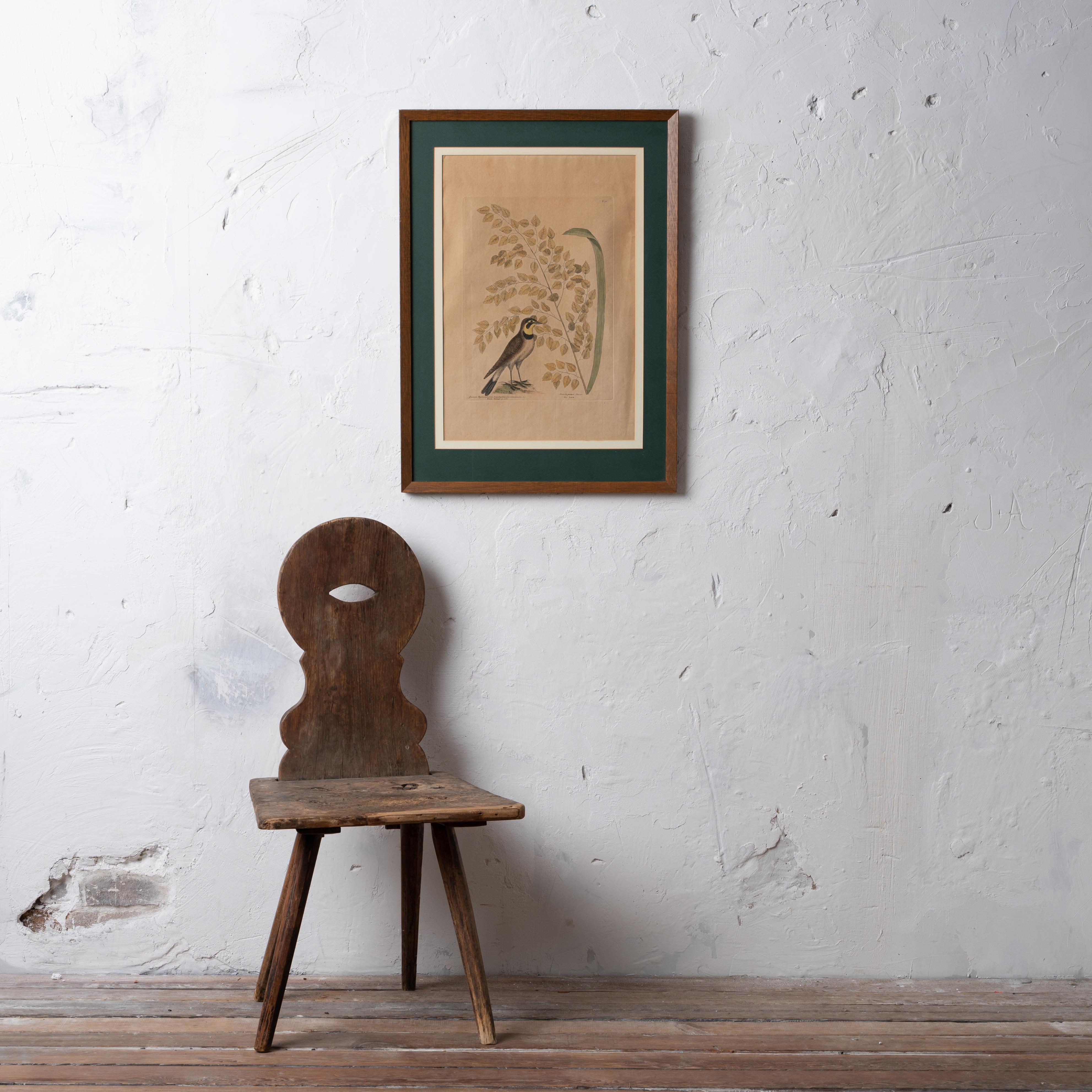 The Lark, Mark Catesby, C.1754 | Chairish