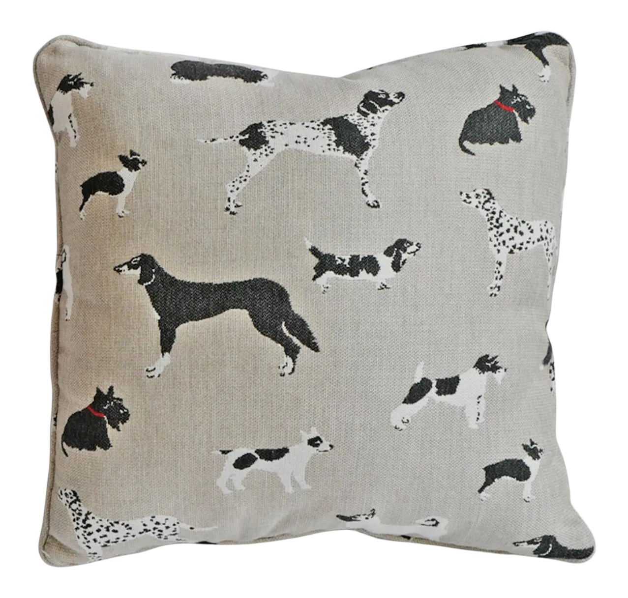 Outdoor Dog World Pillow Chairish