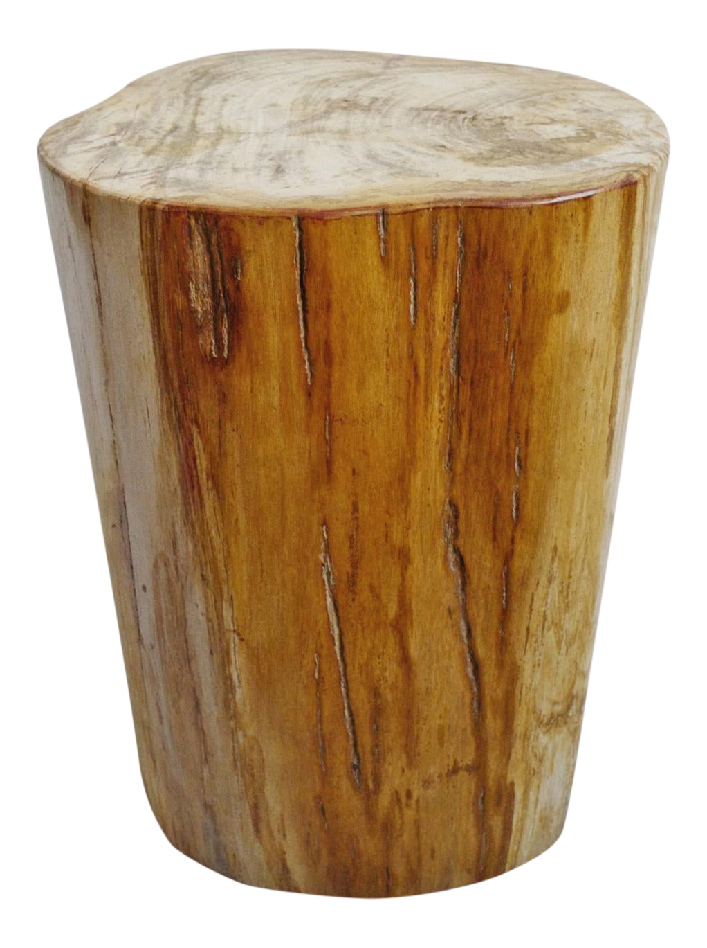 Petrified Stump Side Table Chairish