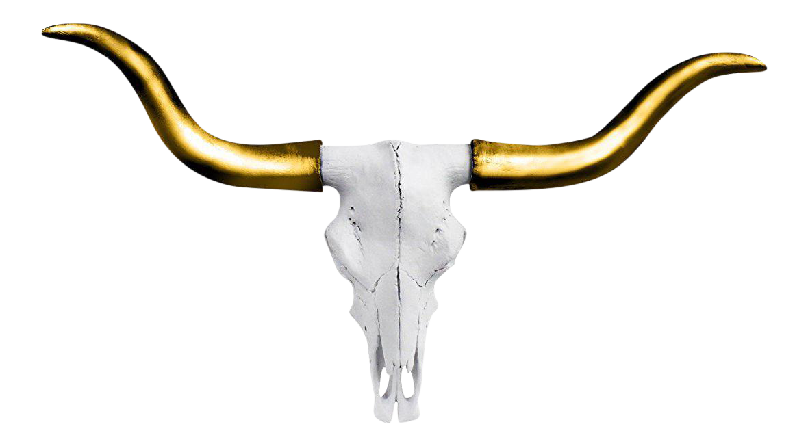 Wall Charmers Faux Carved White + Gold Horns Texas Longhorn Cow Skull