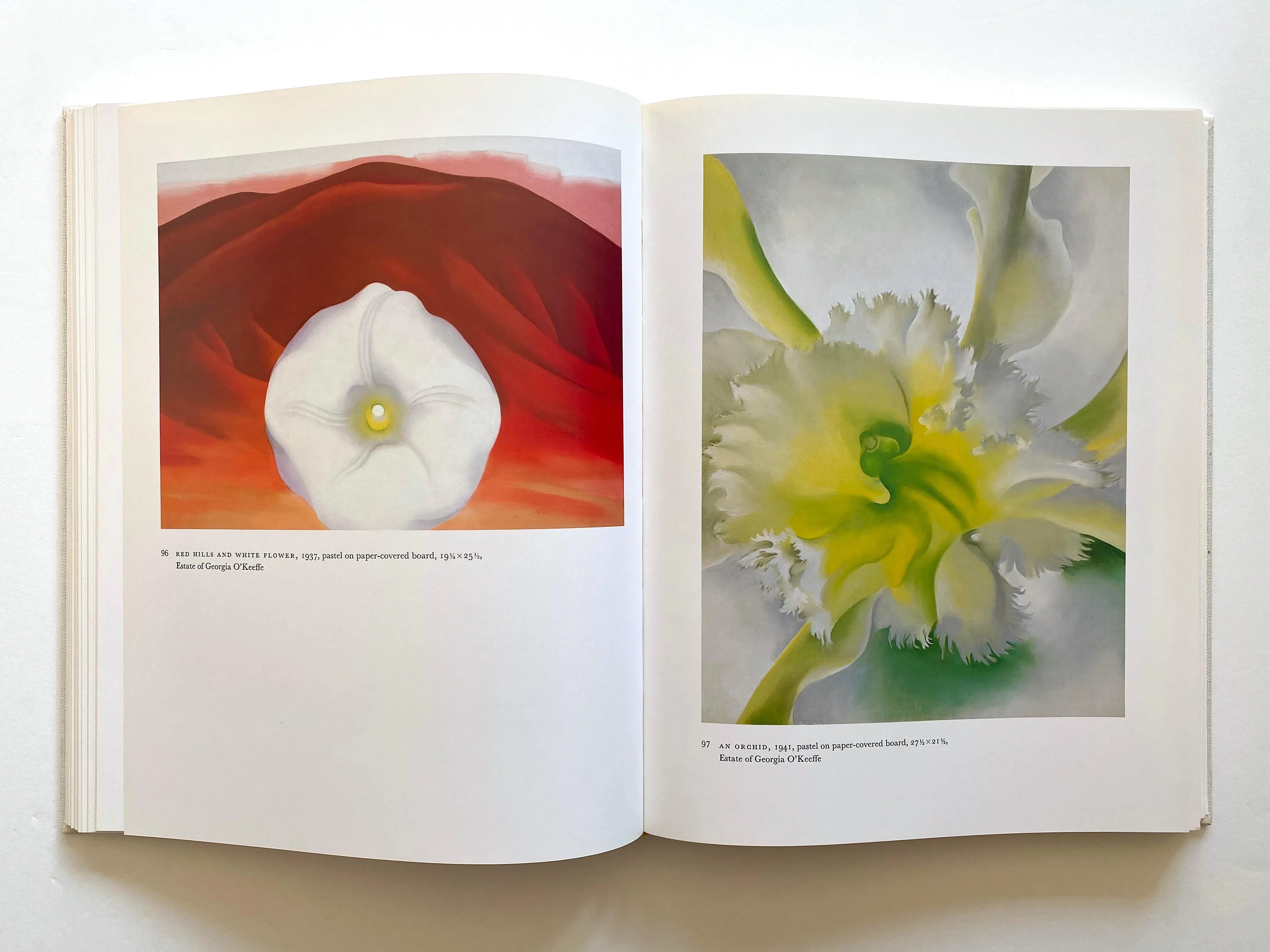 Georgia O'Keeffe Vintage 1987 First Edition 