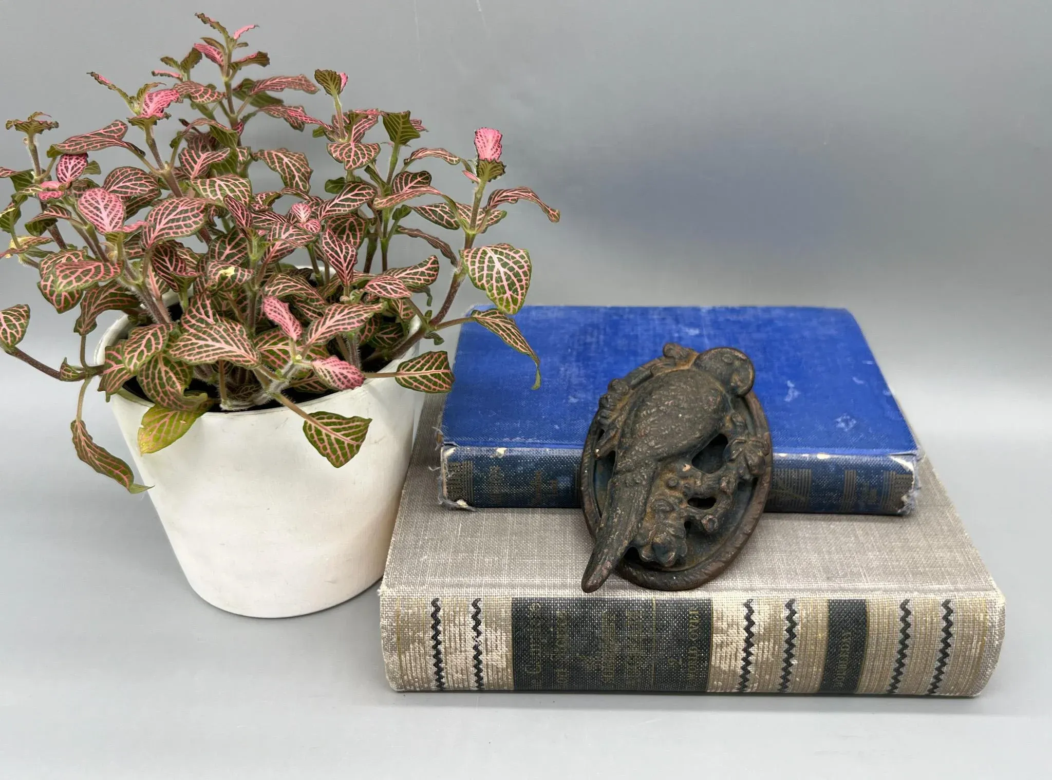 アンティーク フランス 1920～30 ディゴワン・パトリシア アンティーク