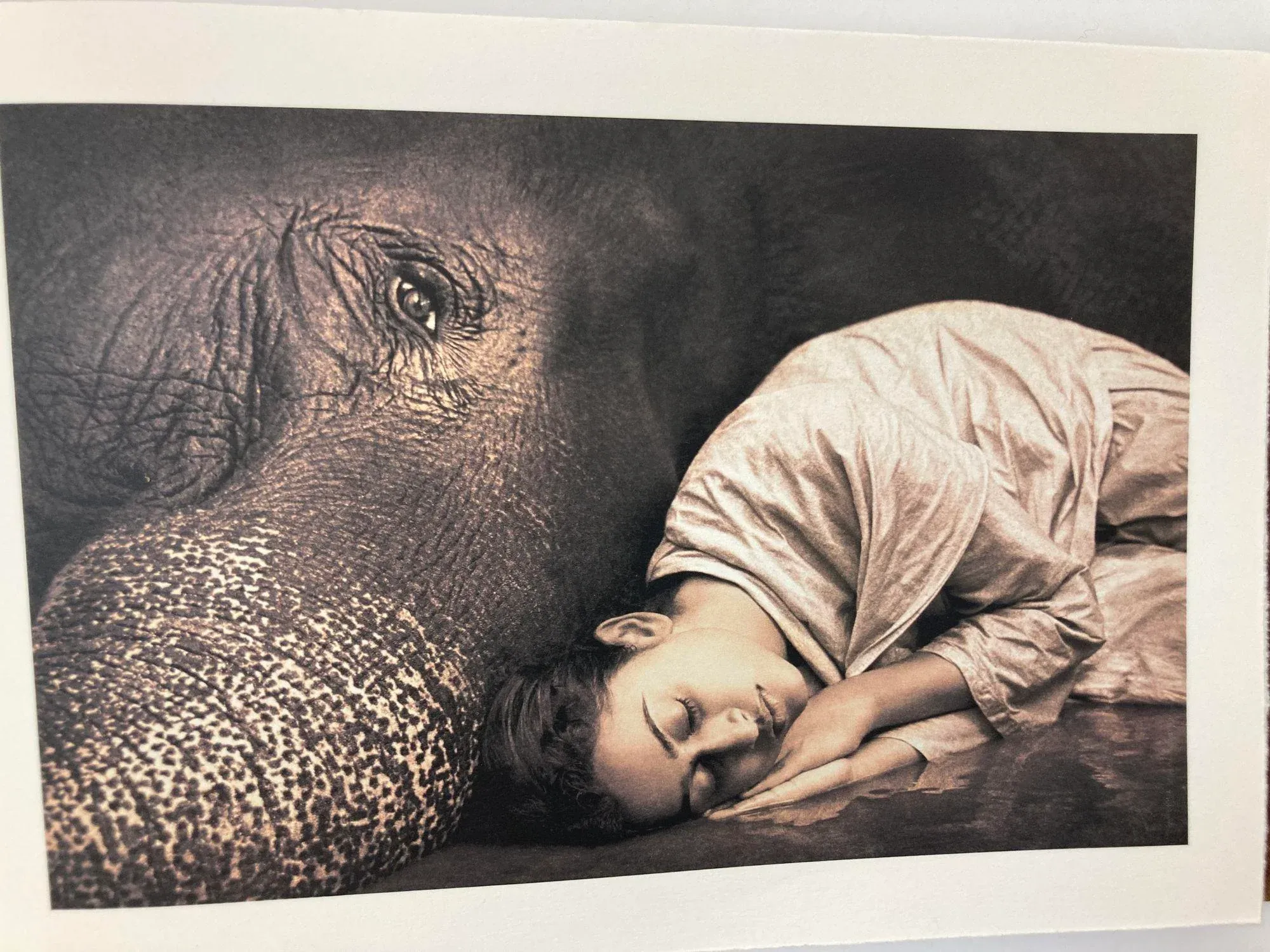 gregory-colbert-photograph-