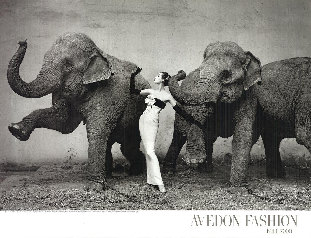richard avedon fashion photographer