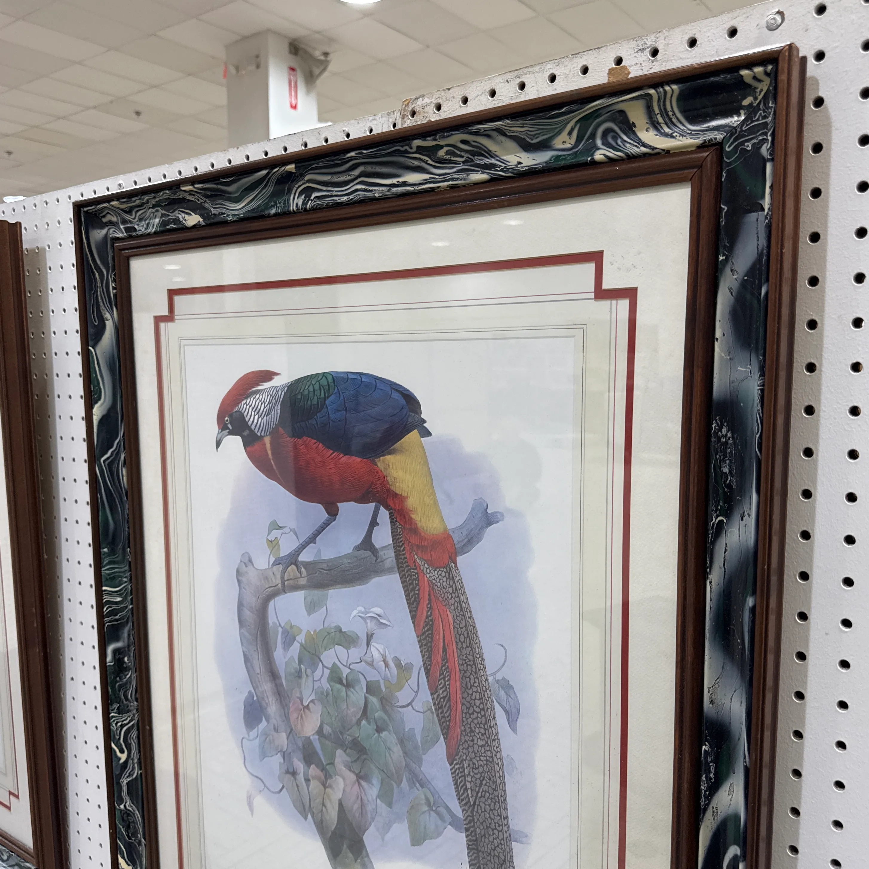 Vintage Pheasant Prints in Custom Lacquered Frames ~ a Pair