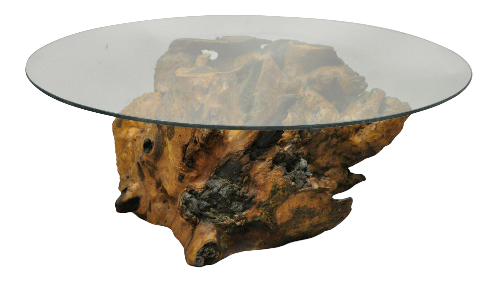 Burl Wood Organic Free Form Live Edge Driftwood Coffee Table Round