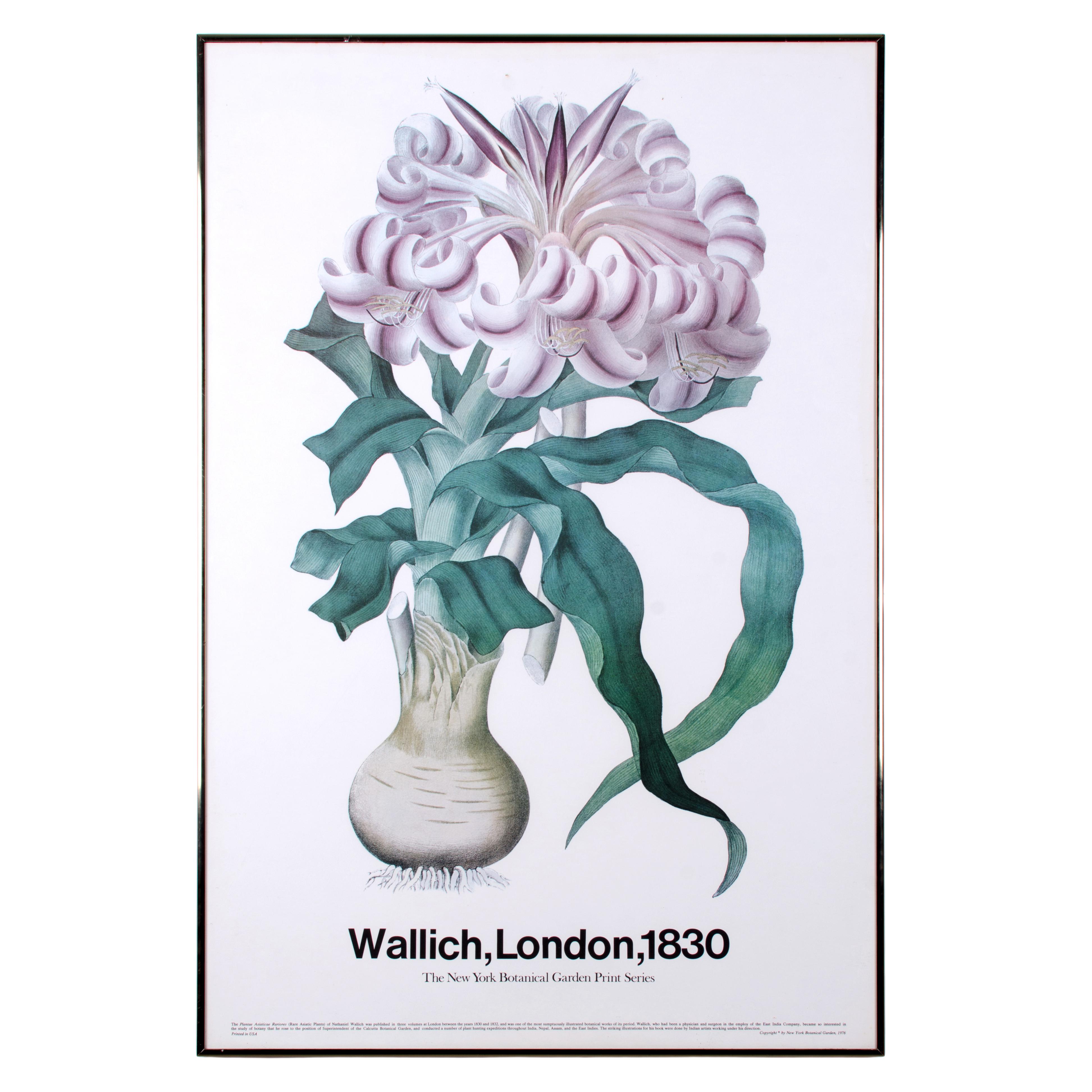 BOTANICAL ART 【import品】 il_1080xN.1591864145_9cna.jpg