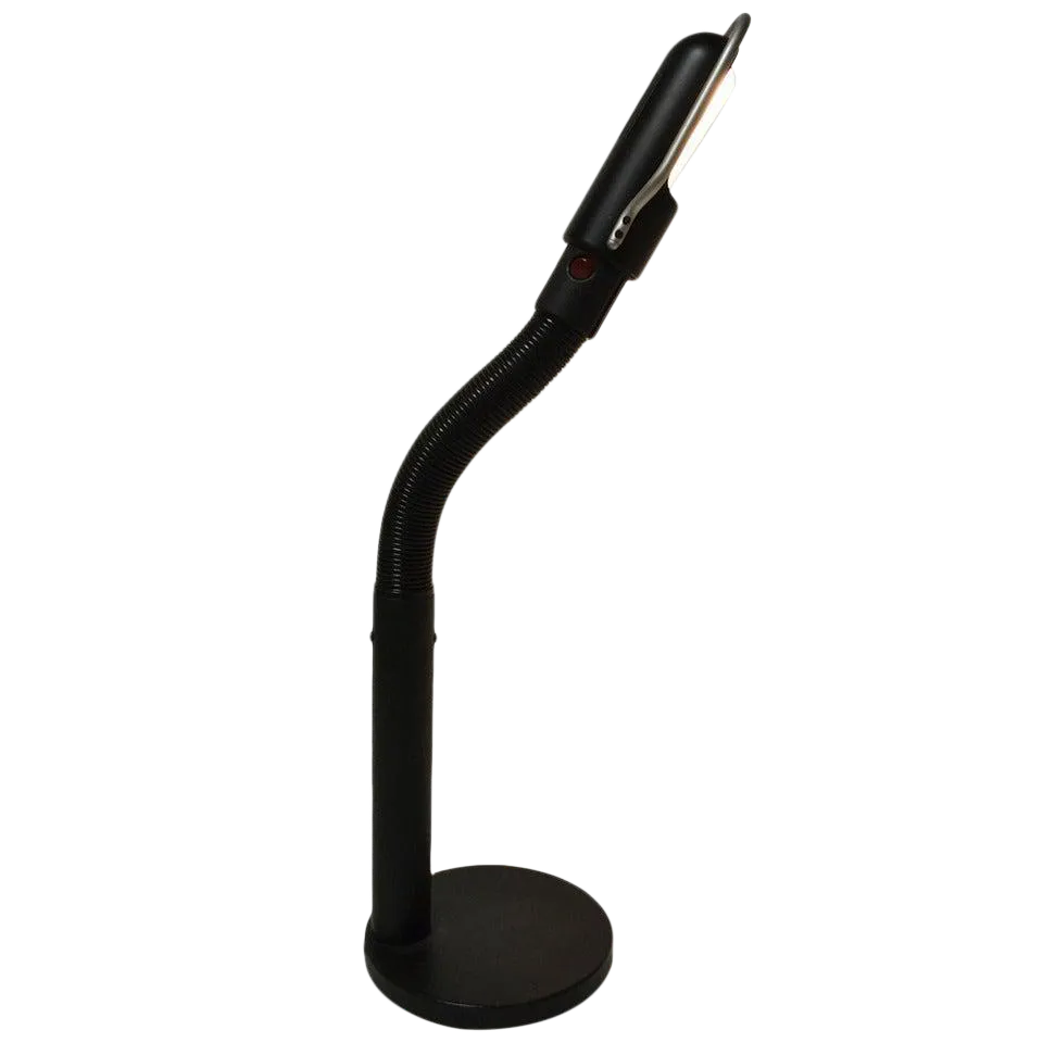 Lightolier Gooseneck Desk Reading Lamp Chairish