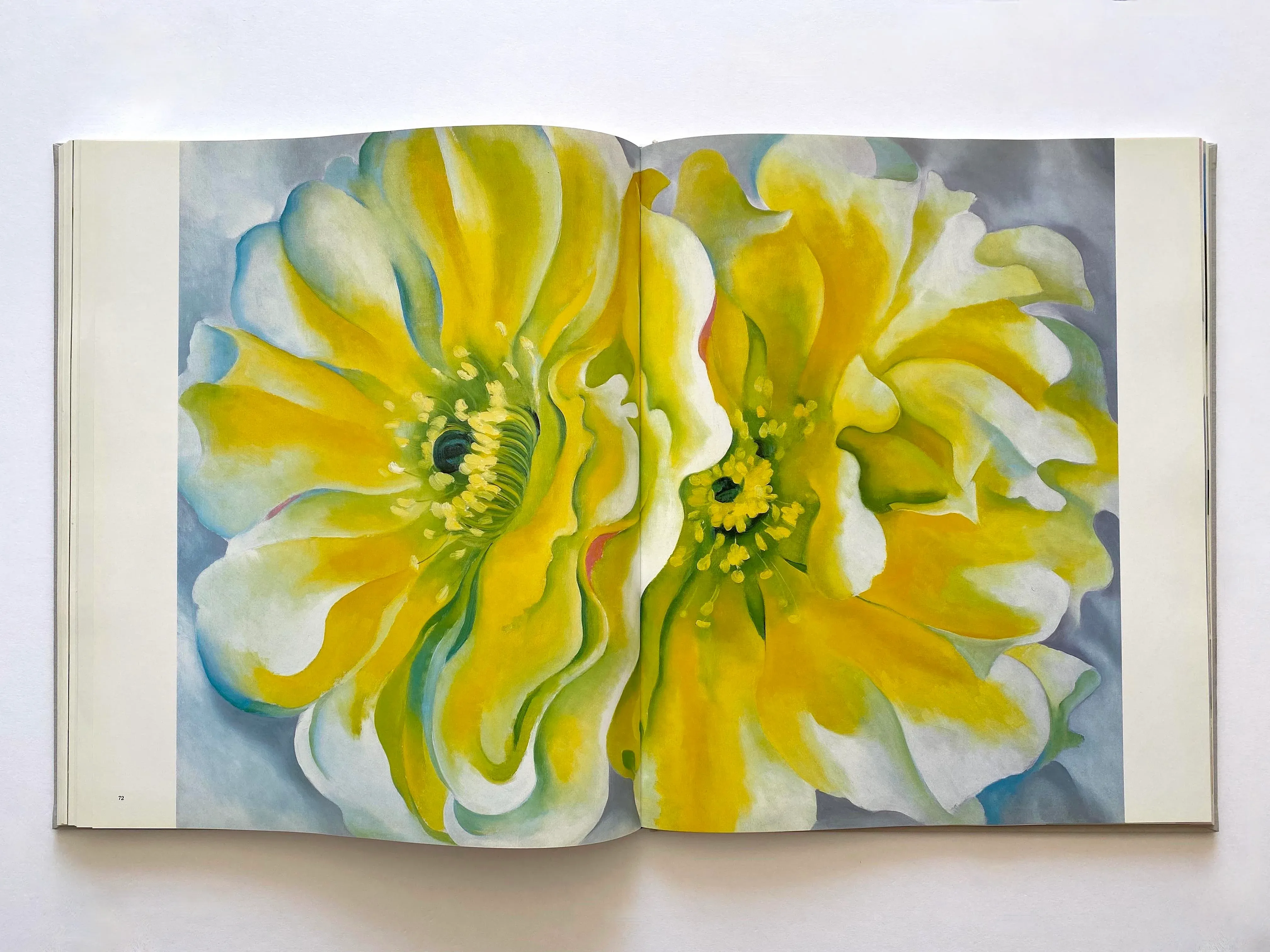 Georgia O'Keeffe: One Hundred Flowers: 30th Anniversary