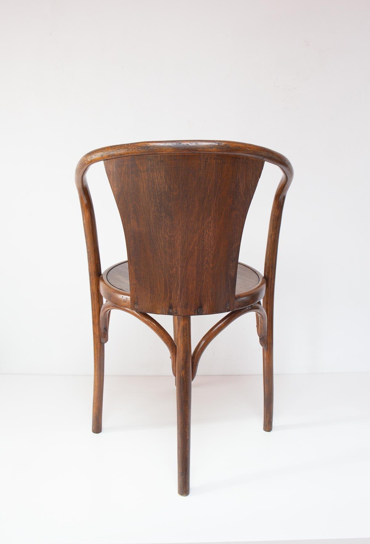 Bentwood E15 C Chair from Fischel, Former Czechoslovakia, 1920s