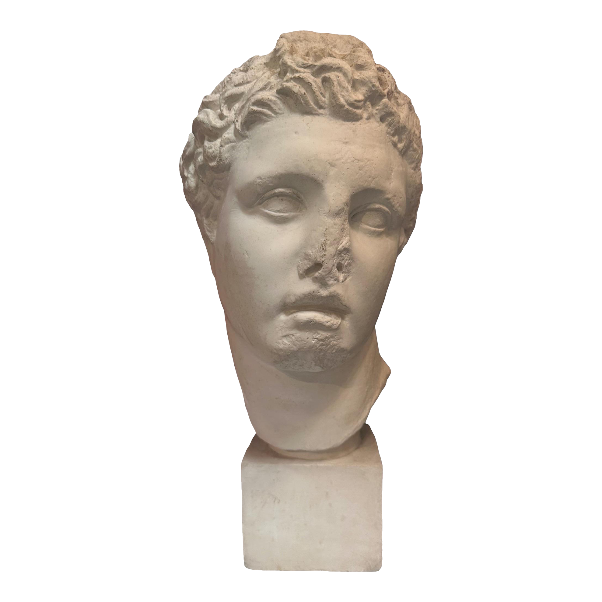 Vintage Plaster Roman Head Sculpture 1970s Chairish