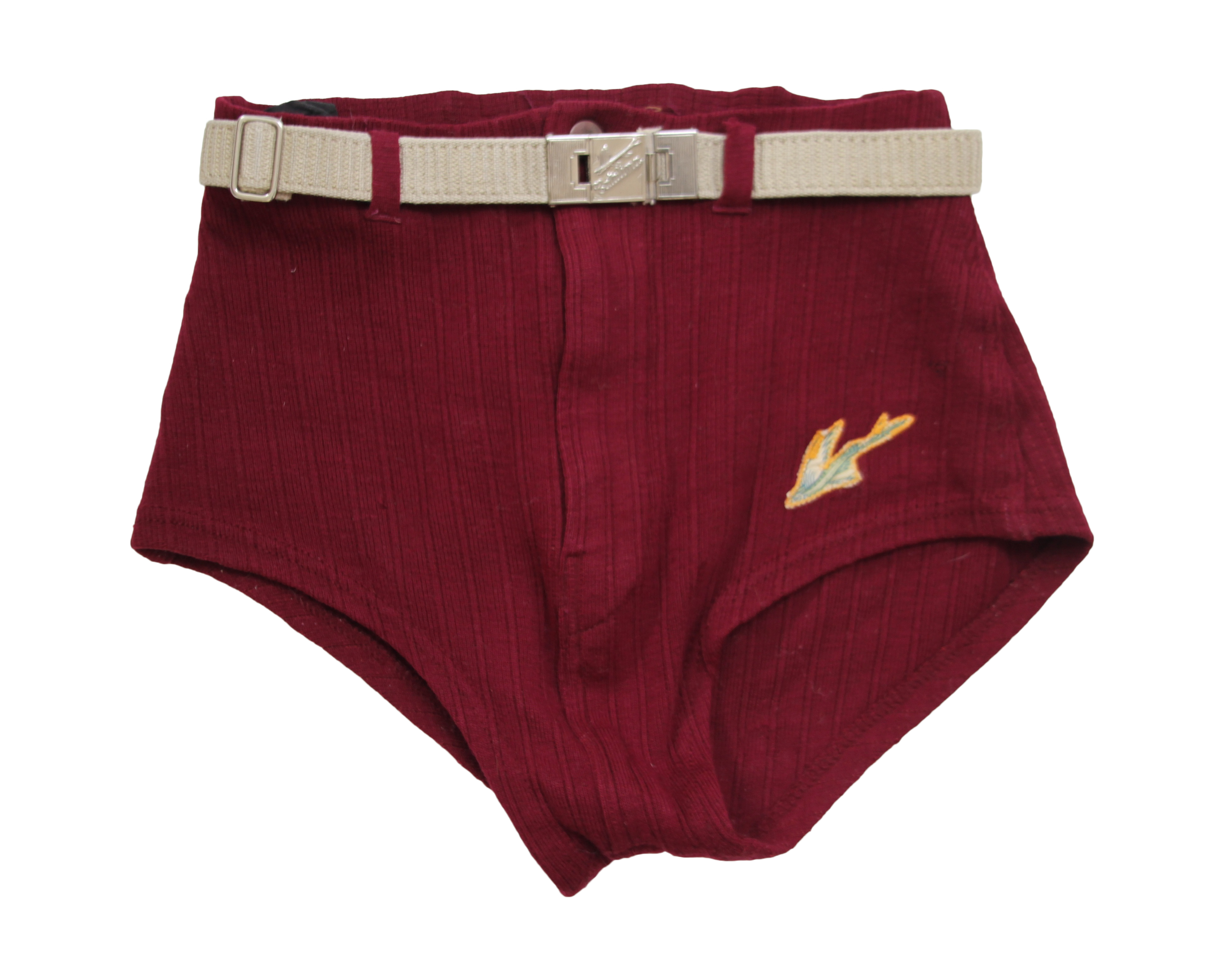 Vintage Wylie Men's/Boy's Maroon Swim Trunks Chairish