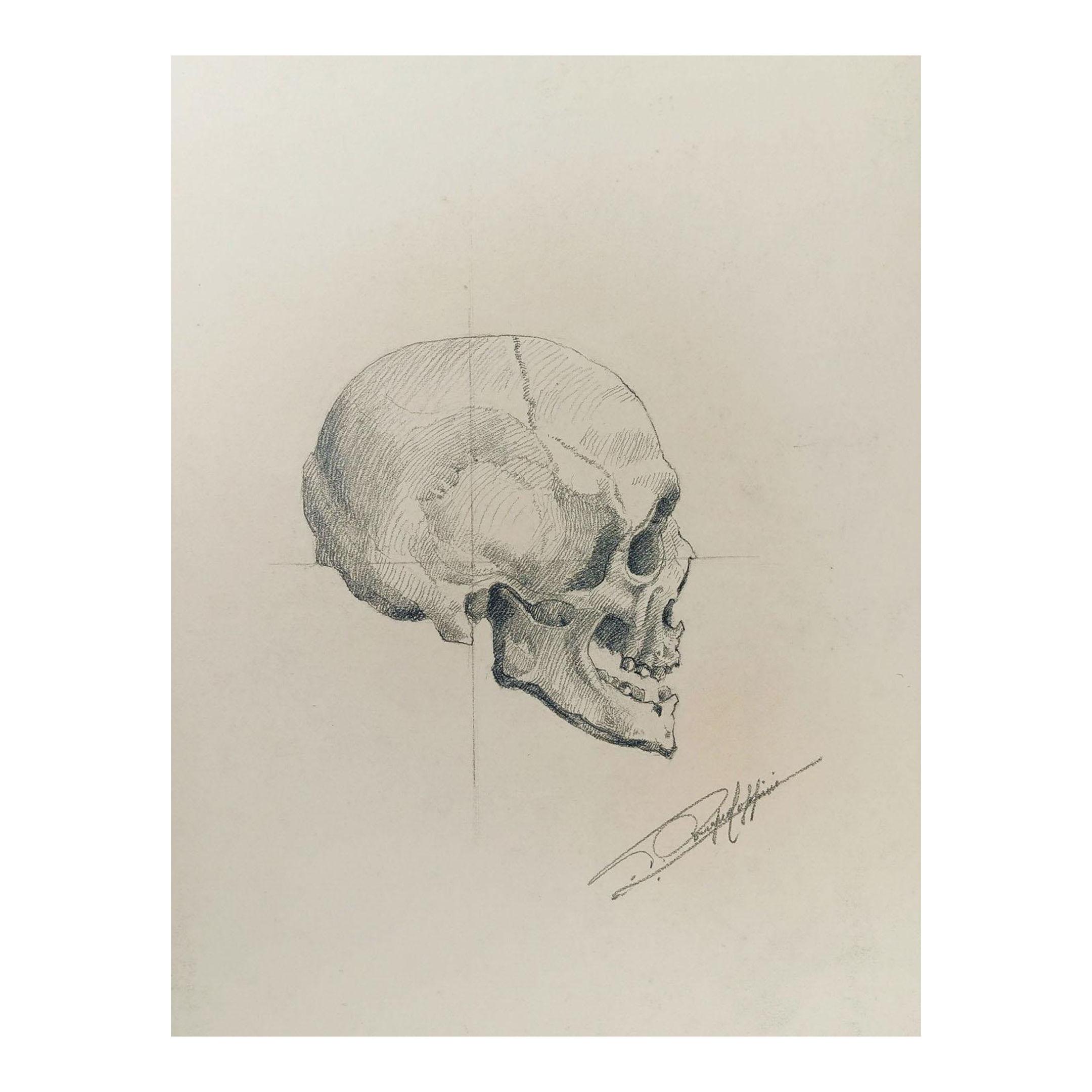 https://chairish-prod.freetls.fastly.net/image/product/master/f5be0ffe-3ec6-4b92-ae12-eacc8f40d836/antique-skull-drawing-2350