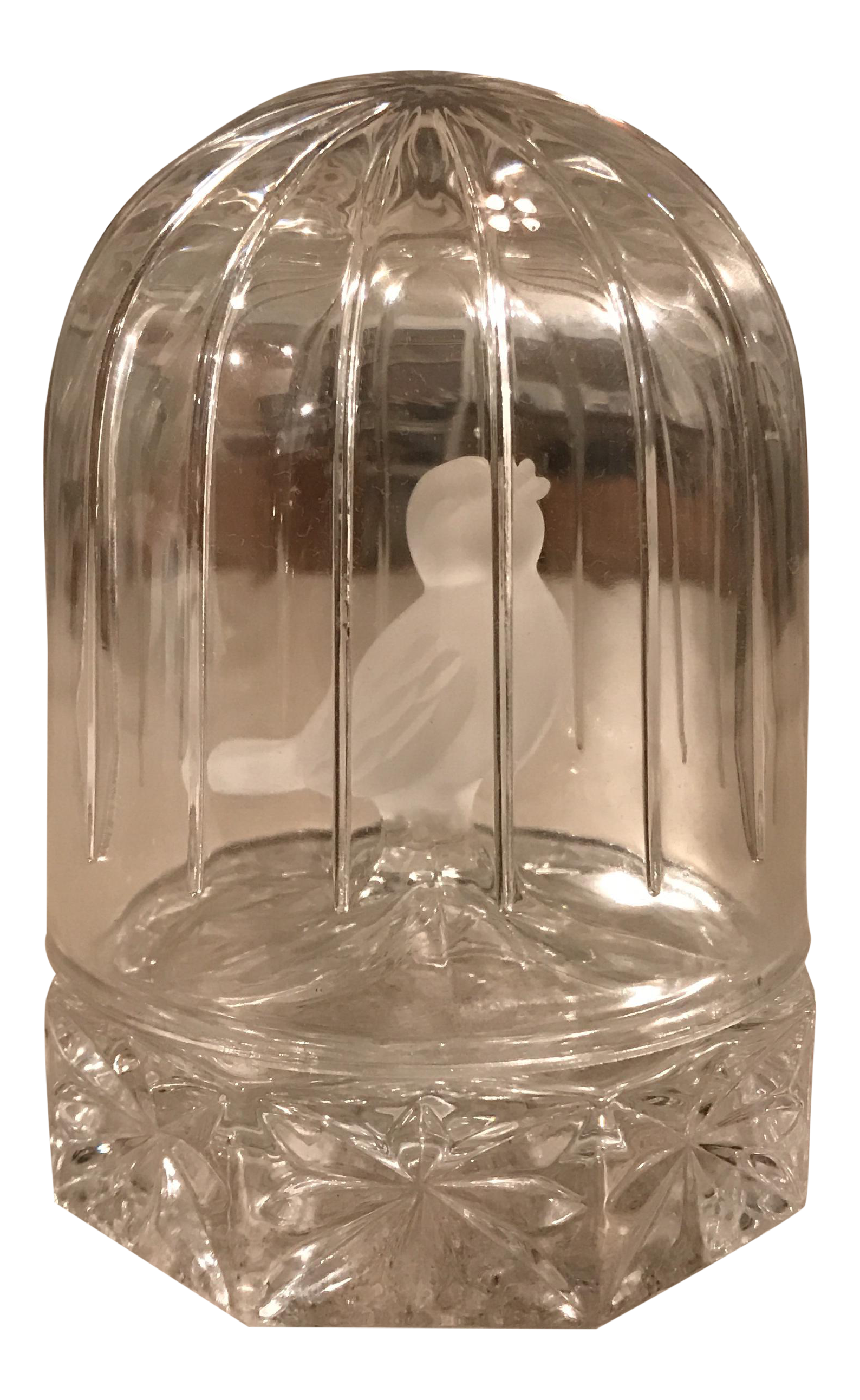 Glass cage essay 03 picture