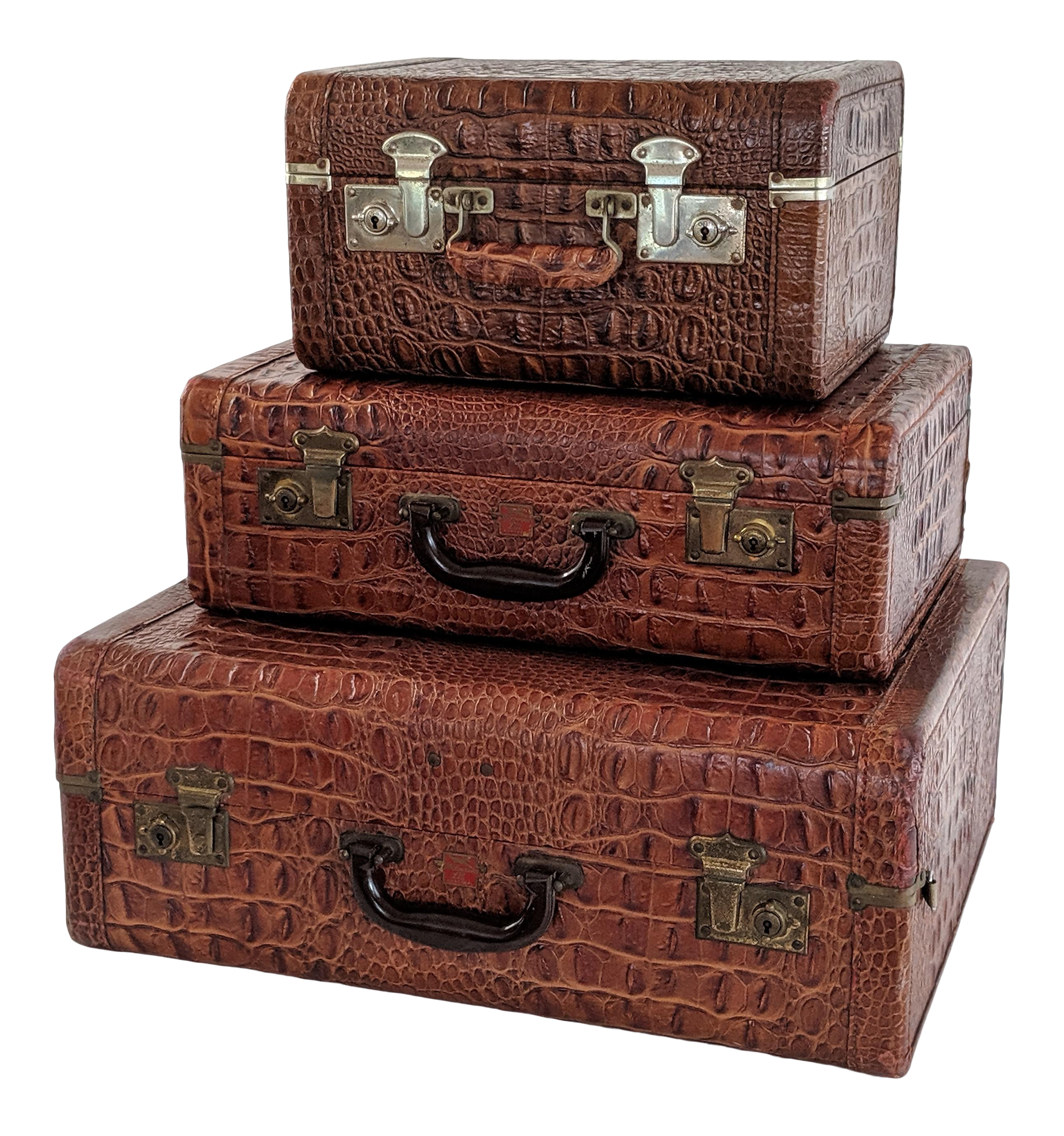 vintage alligator luggage