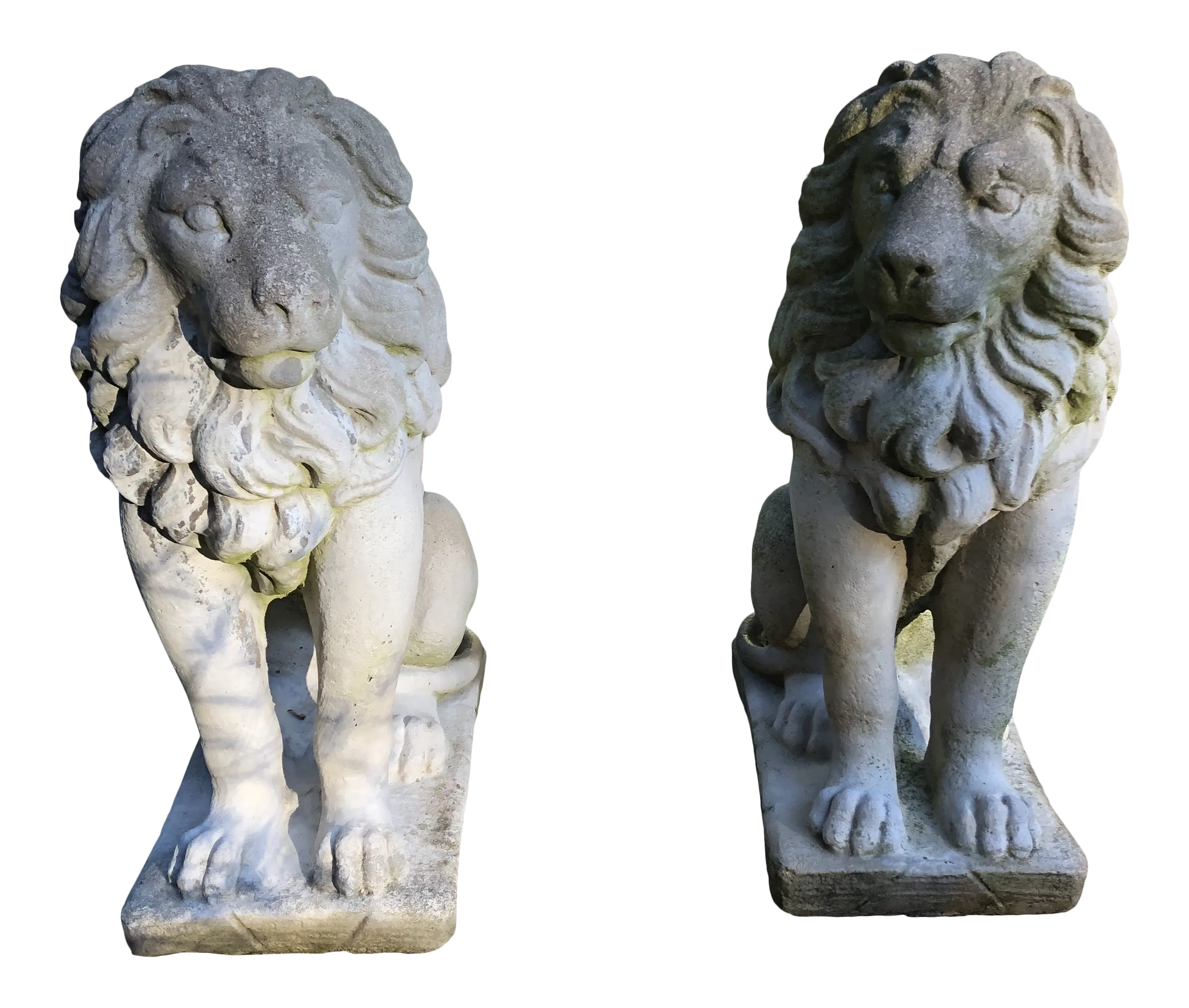Concrete Sitting Lion Statues Set Of 2 Chairish
