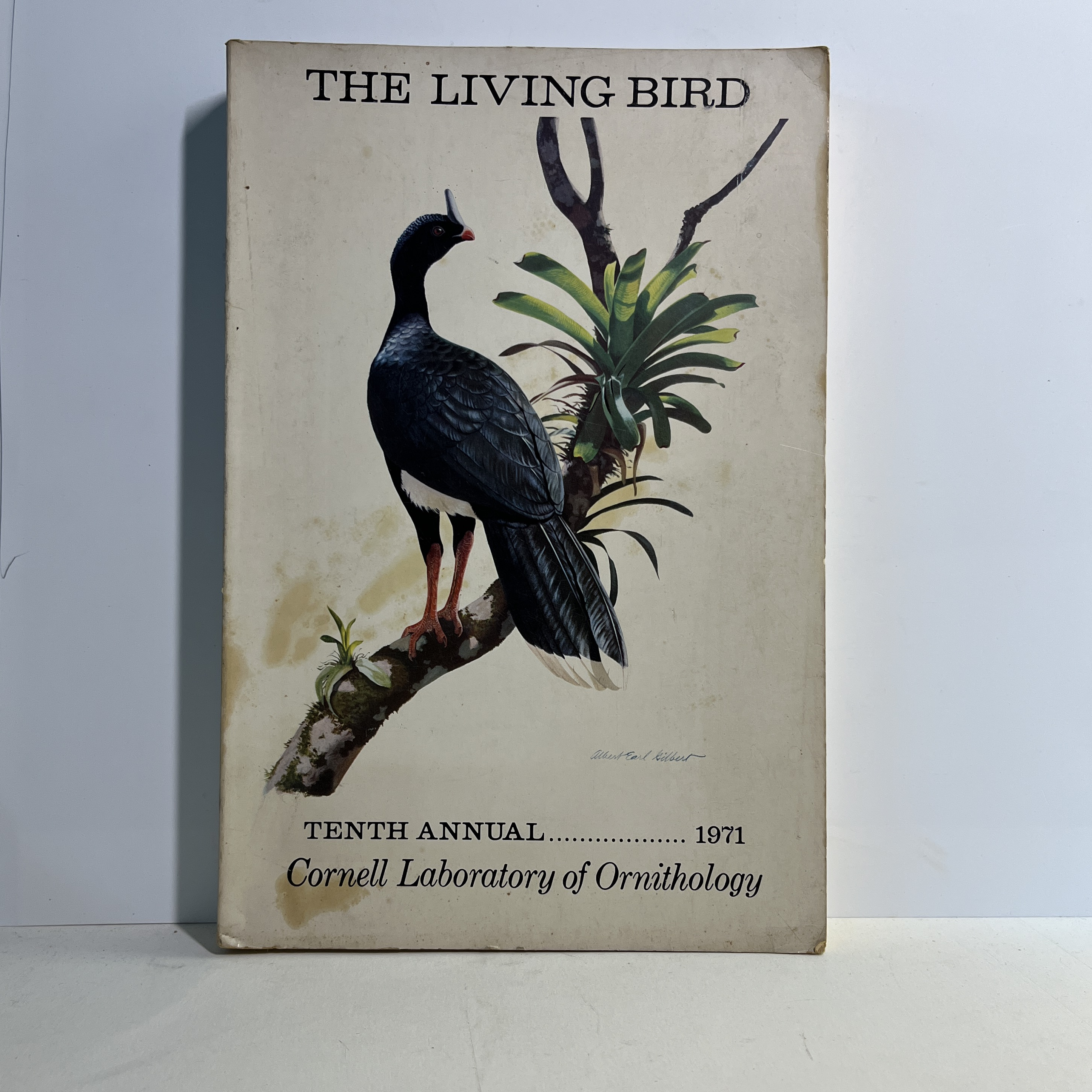 Vintage Bird and Birding Books Set/10
